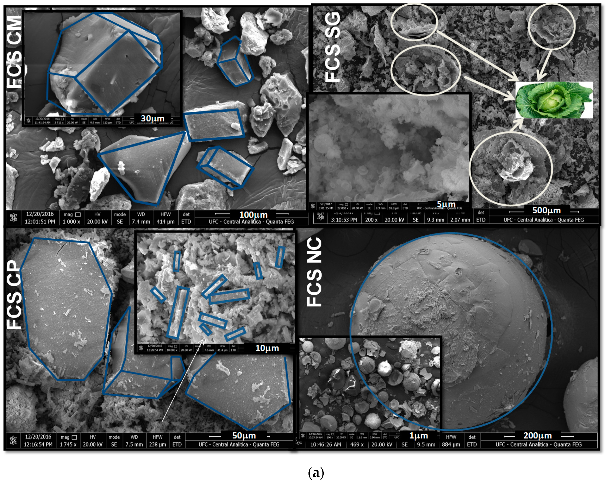 Catalysts 07 00323 g001a