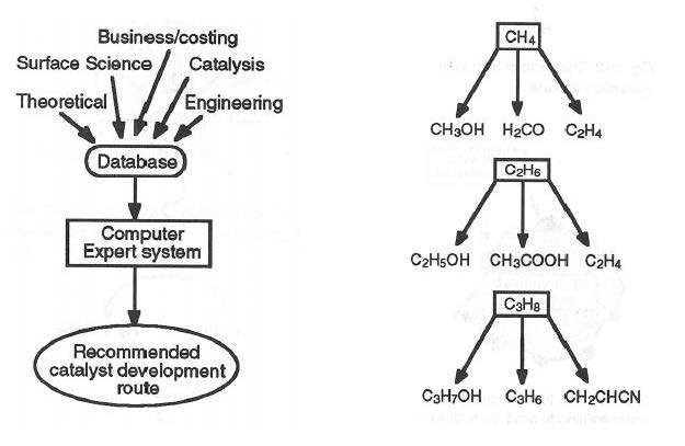 Catalysts Free Full Text Heterogeneous Catalysis On Metal Oxides