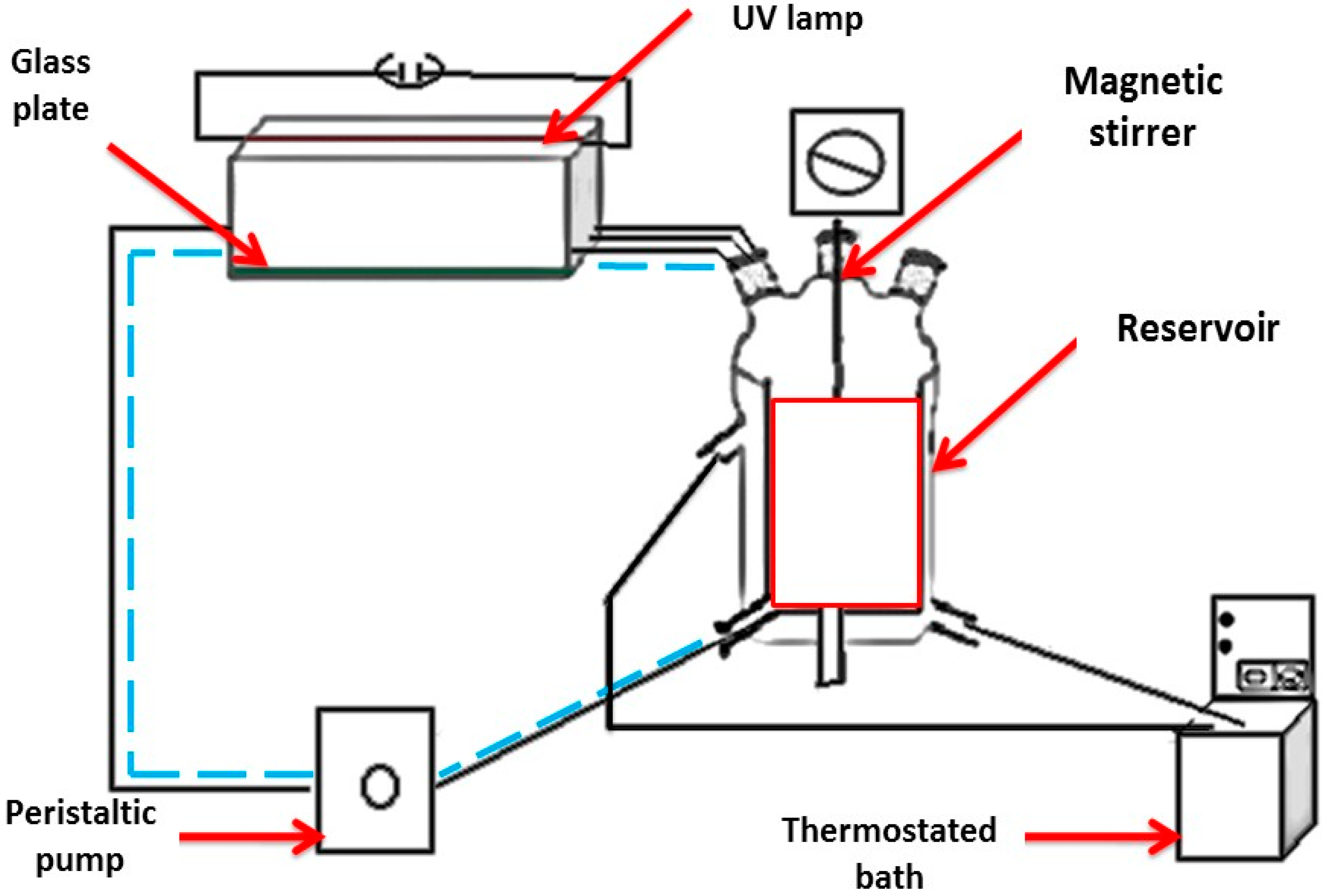 Catalysts 07 00344 g010