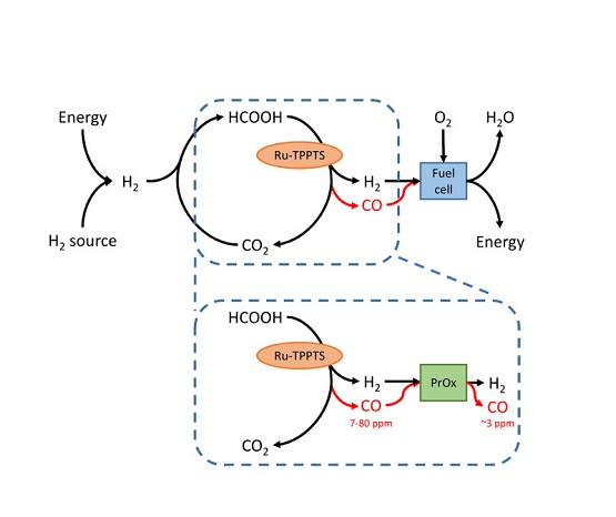 Catalysts Free Full Text Dehydrogenation Of Formic Acid Over A Homogeneous Ru Tppts Catalyst Unwanted Co Production And Its Successful Removal By Prox