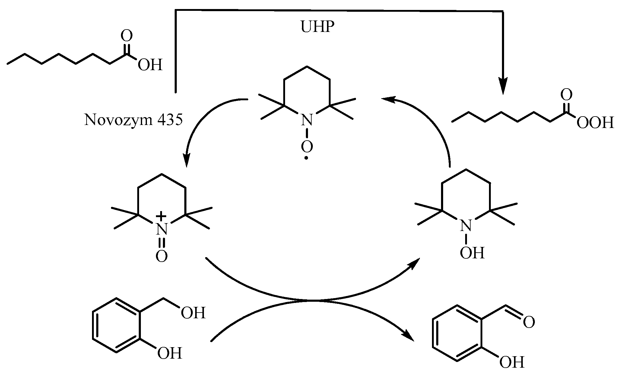 Catalysts 07 00354 sch002