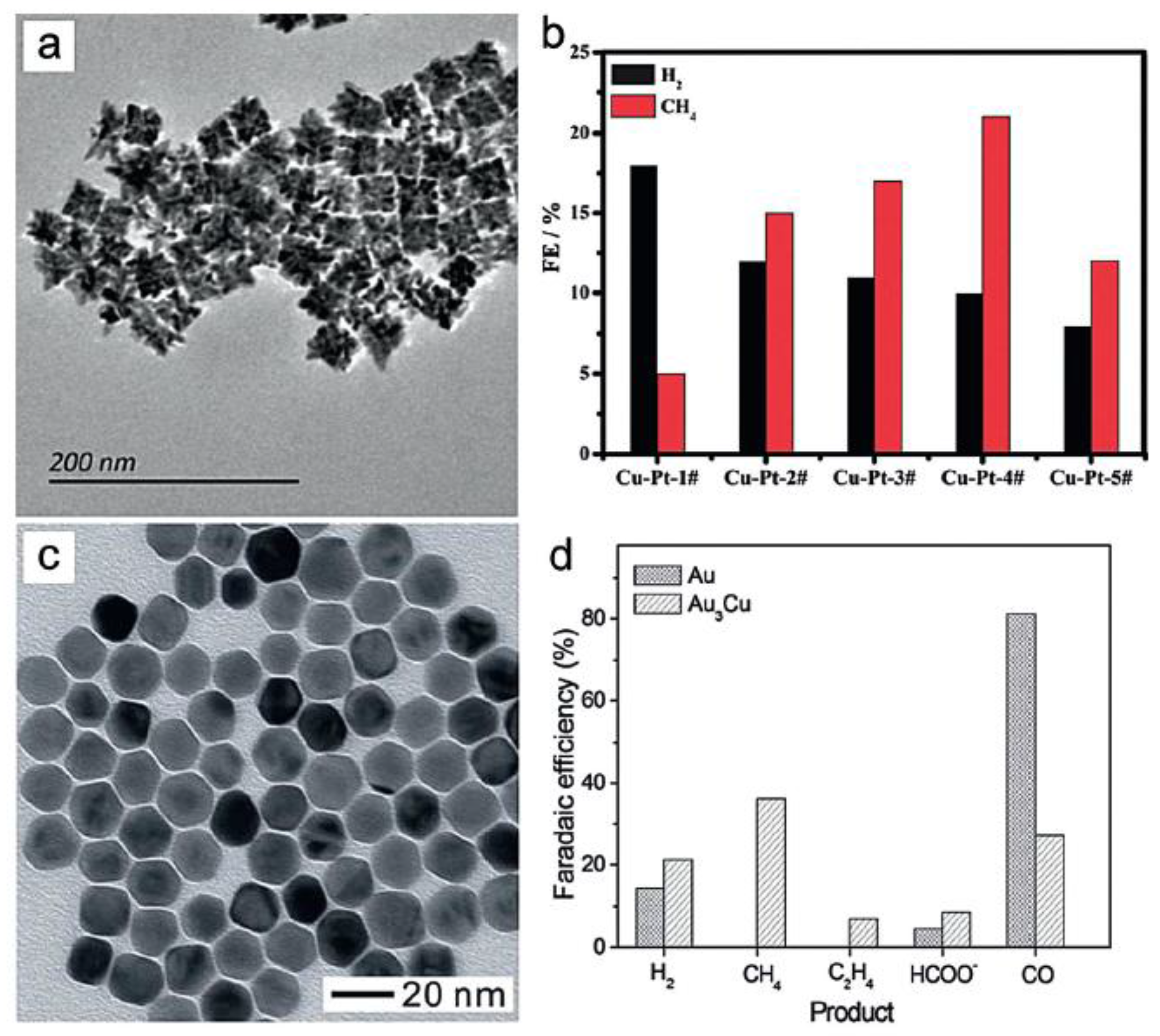 Catalysts 07 00373 g007