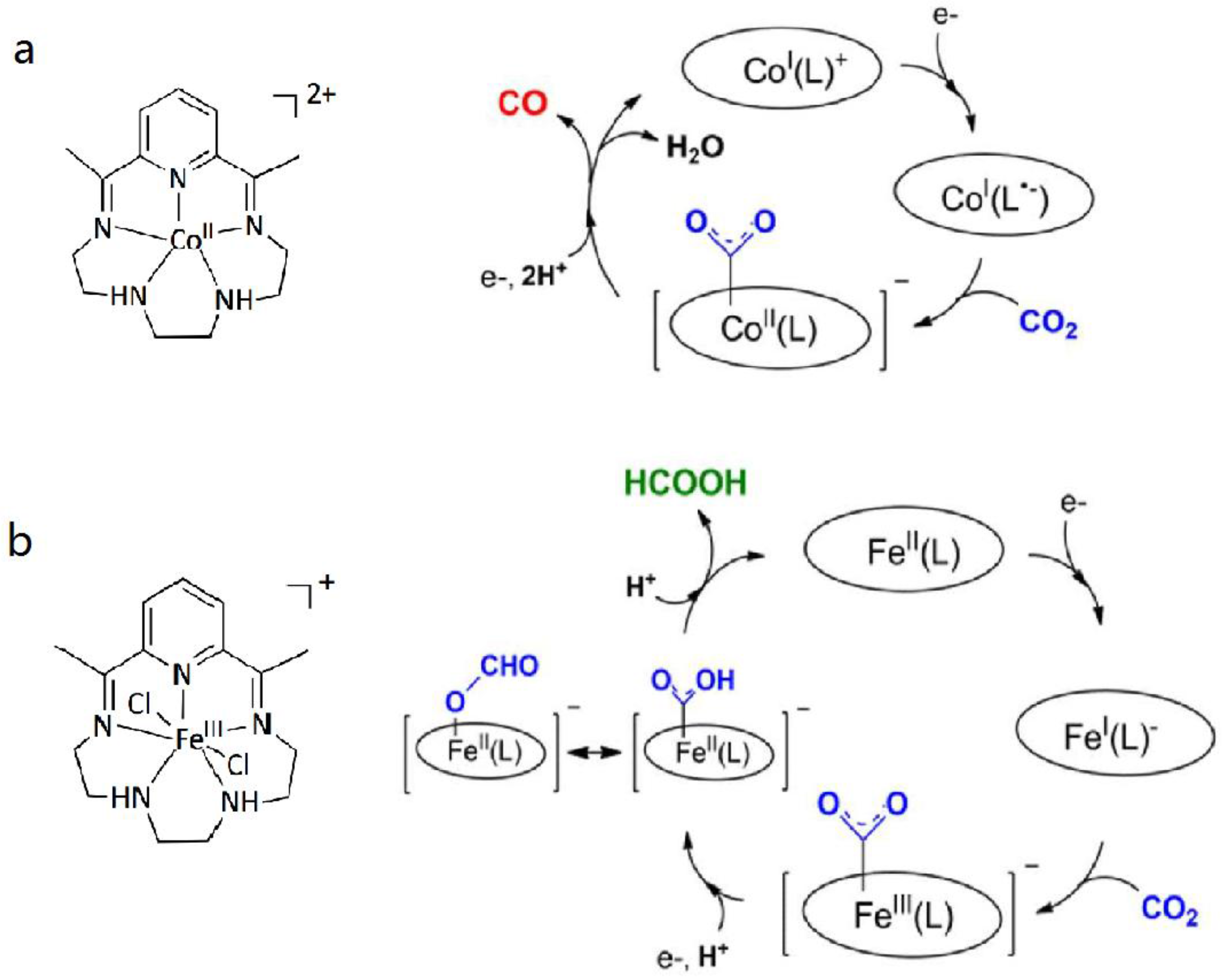 Catalysts 07 00373 sch003