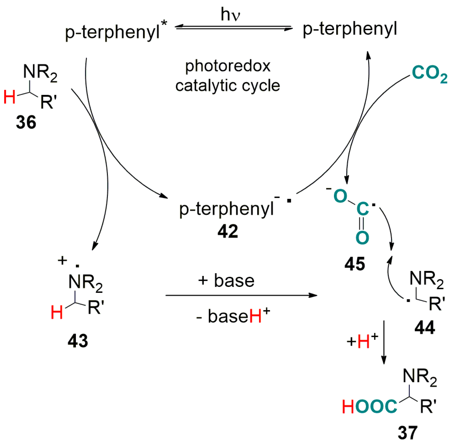 Catalysts 07 00380 sch020
