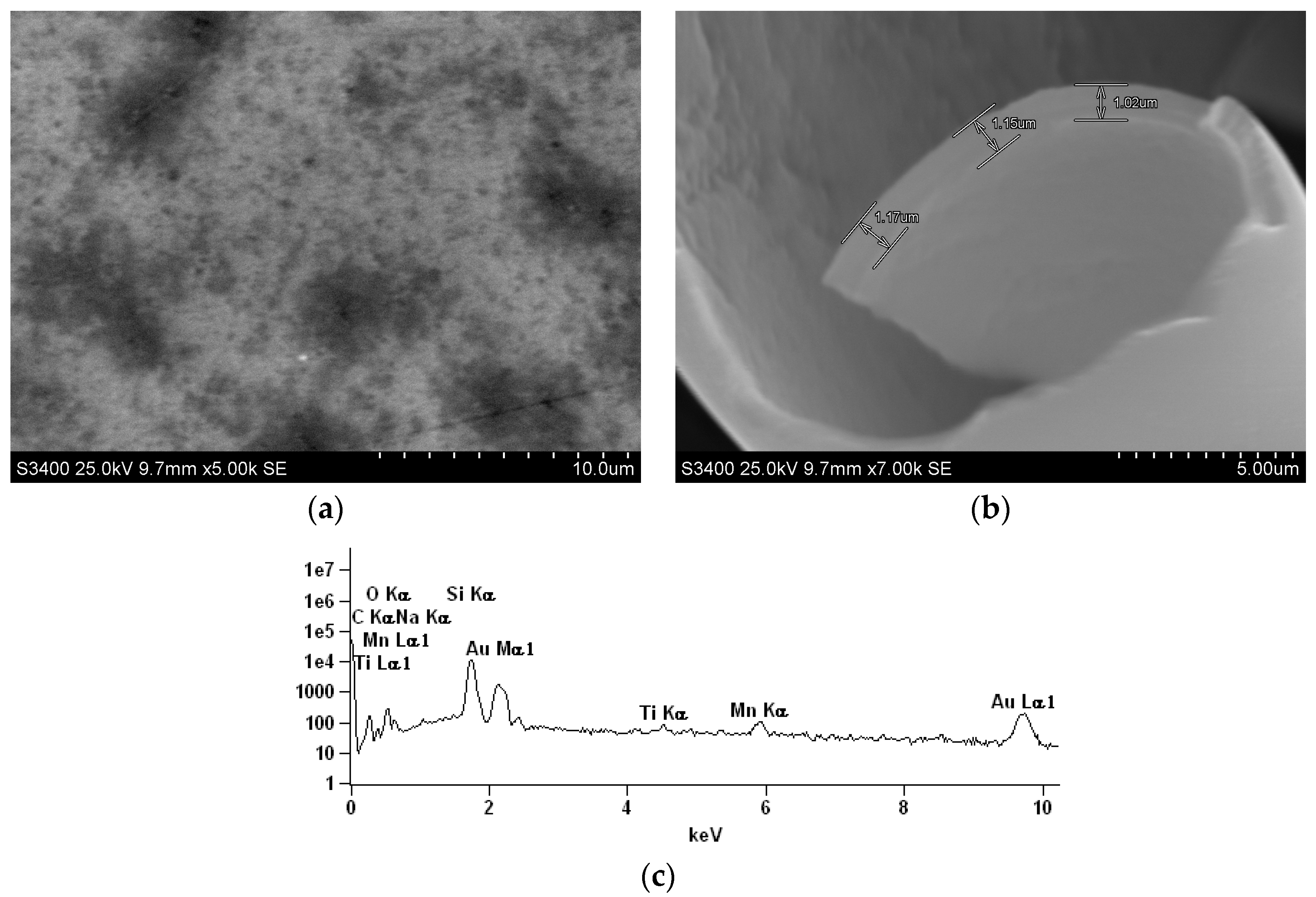 Catalysts 07 00392 g004