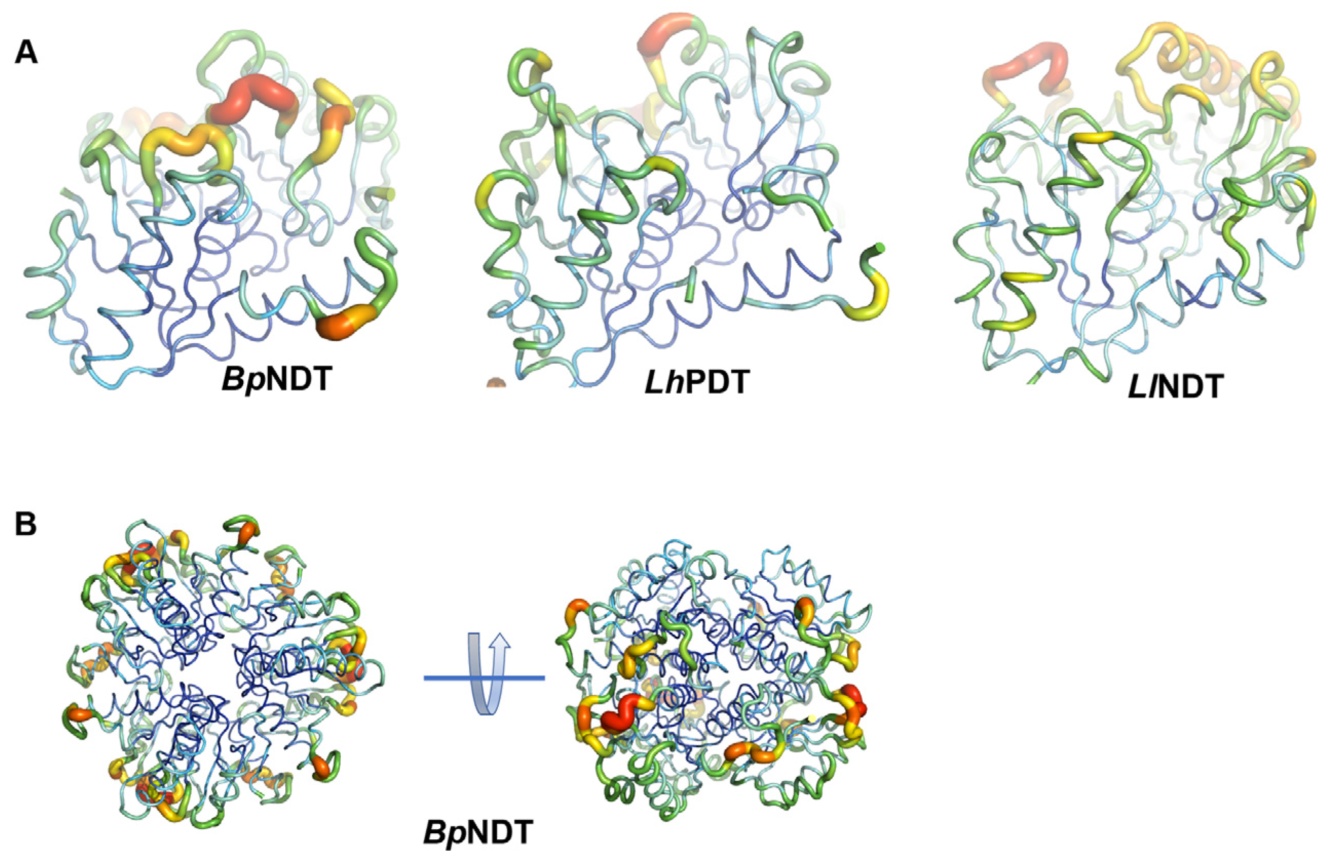 Catalysts 08 00008 g005