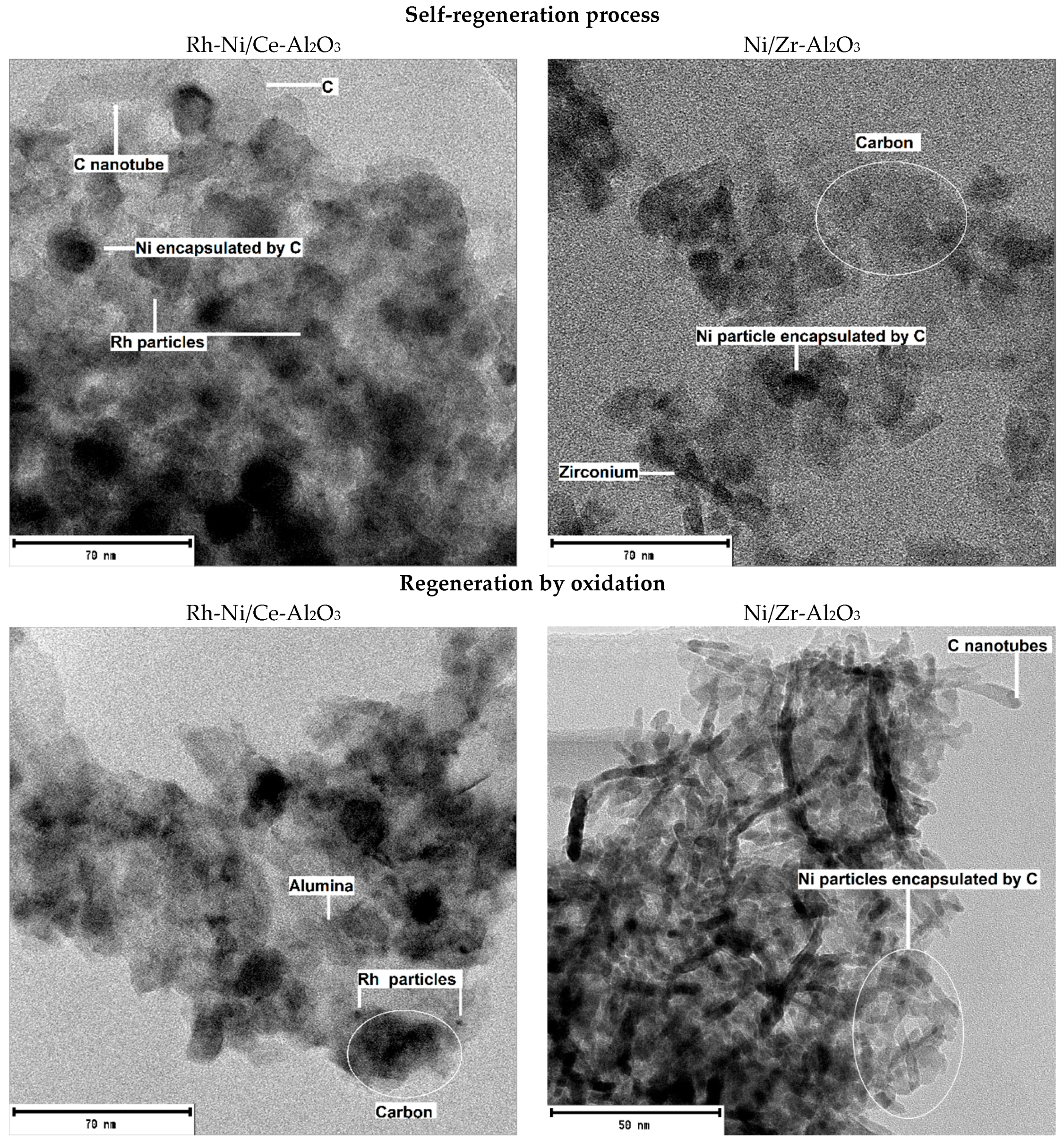Catalysts 08 00012 g005