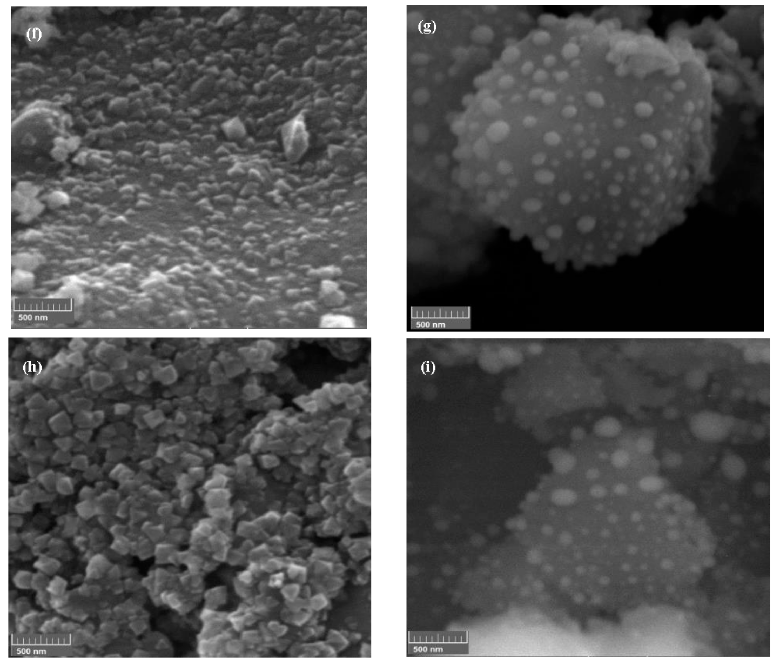 Catalysts 08 00018 g006b