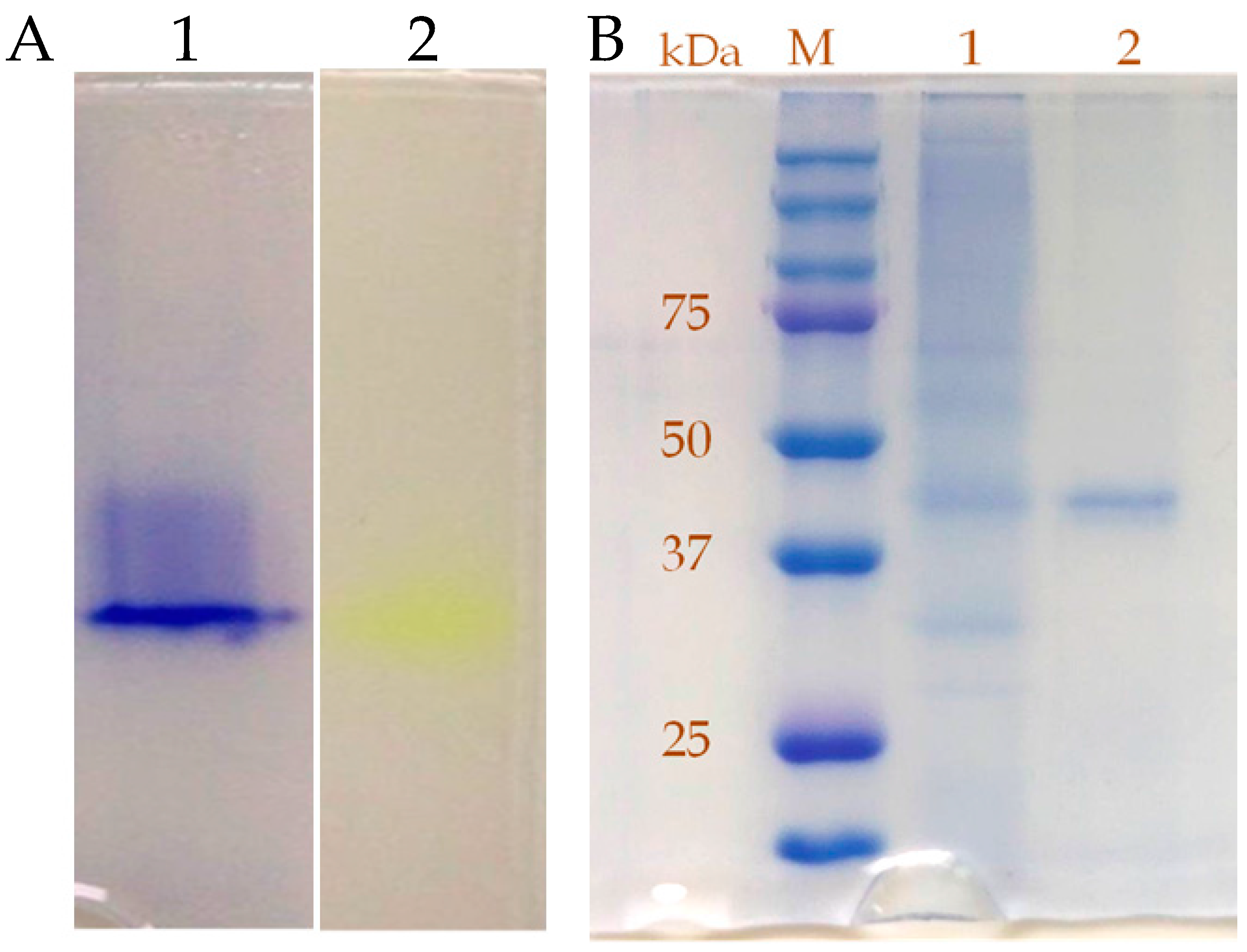 Catalysts 08 00024 g004