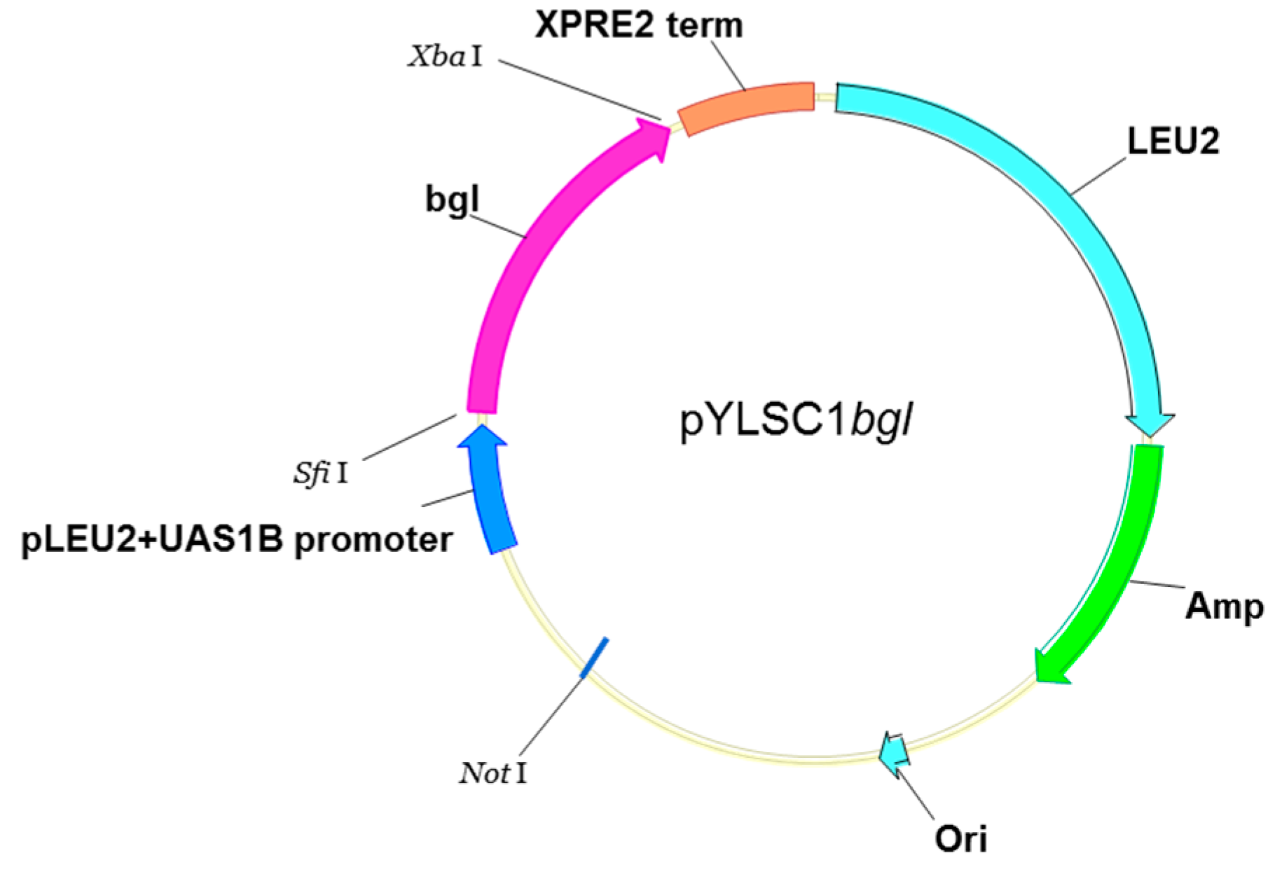 Catalysts 08 00024 g006