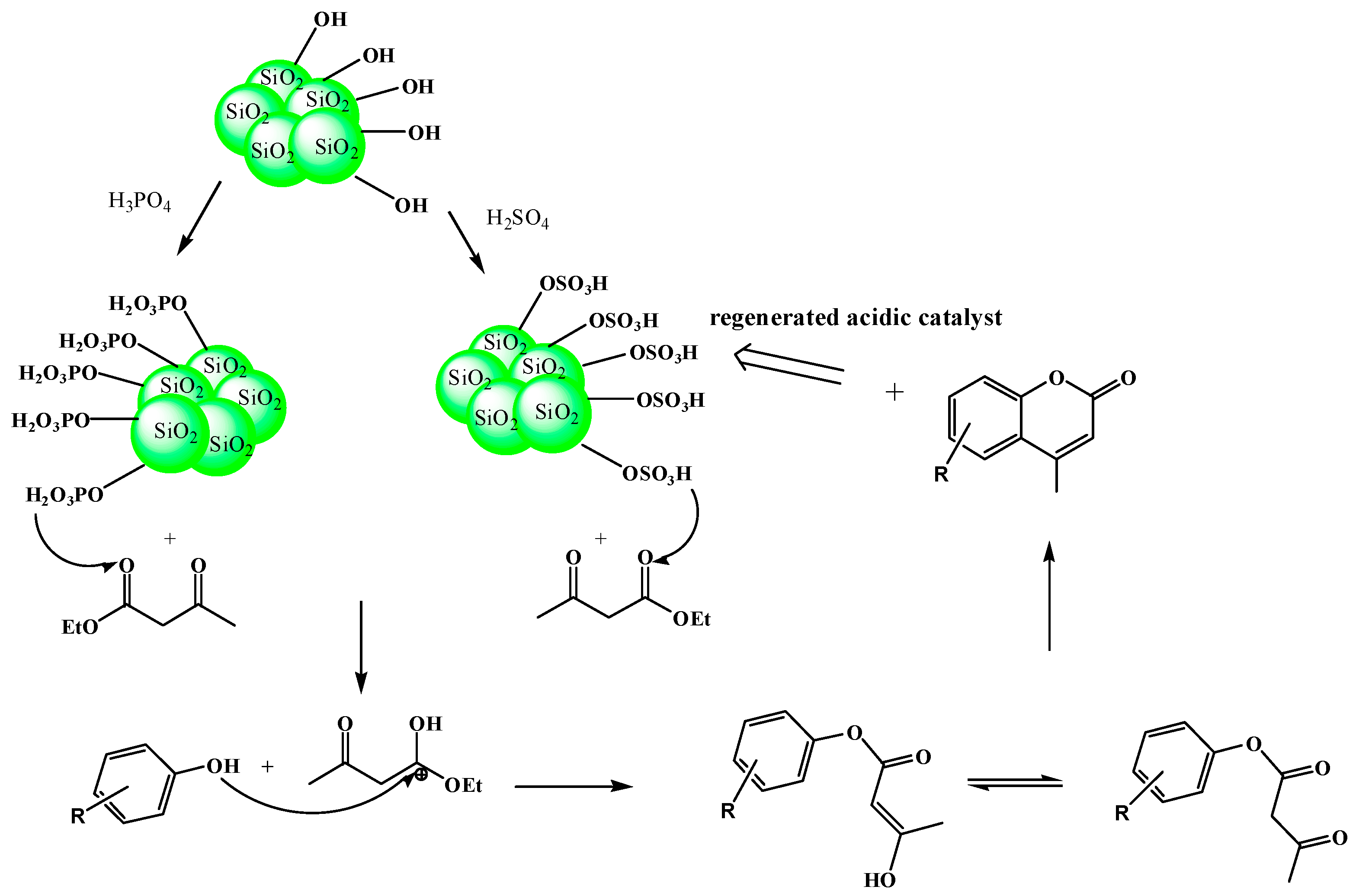 Catalysts 08 00036 sch001