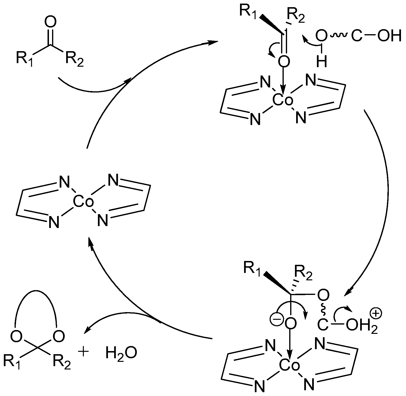 Catalysts 08 00048 g003