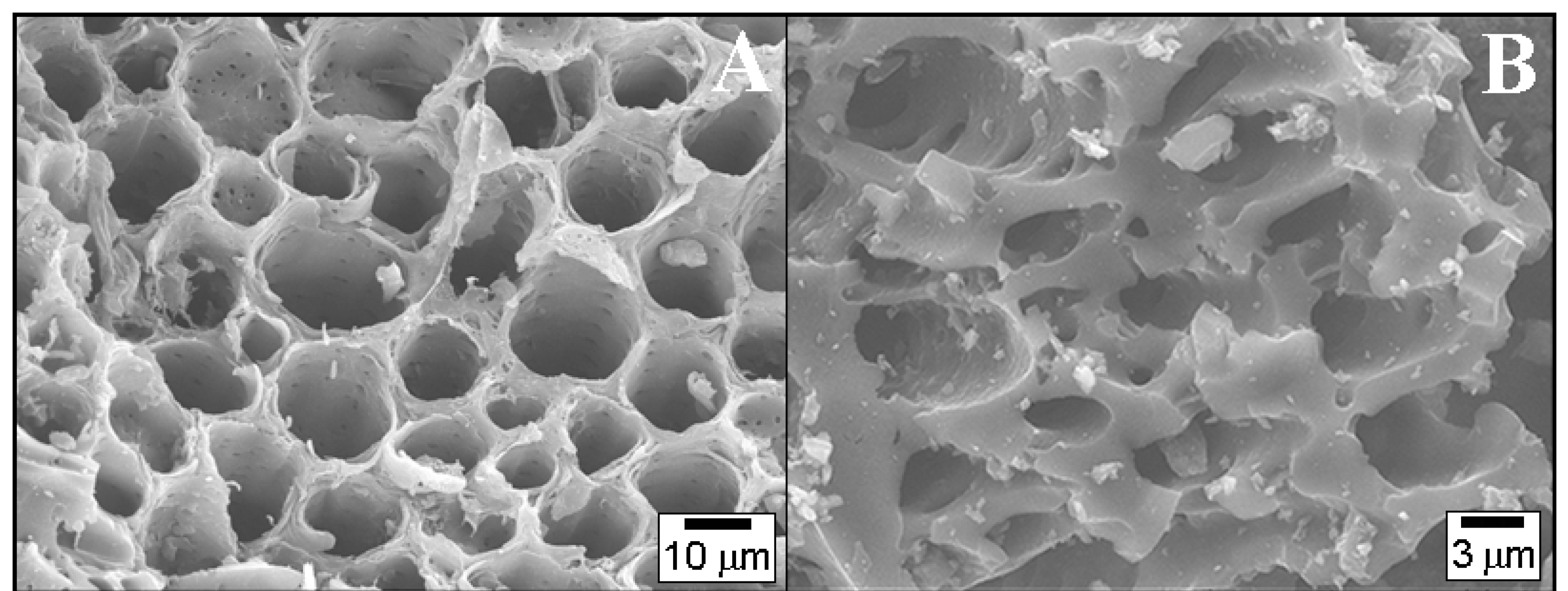 Catalysts 08 00050 g001