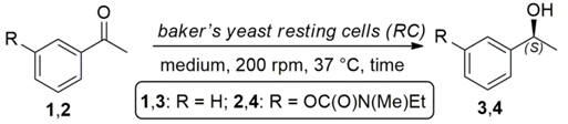 Catalysts 08 00055 i001 Catalysts 08 00055 i001
