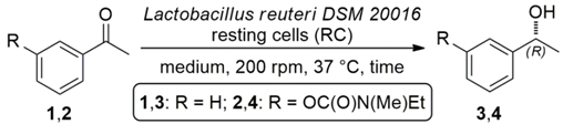 Catalysts 08 00055 i002 Catalysts 08 00055 i002