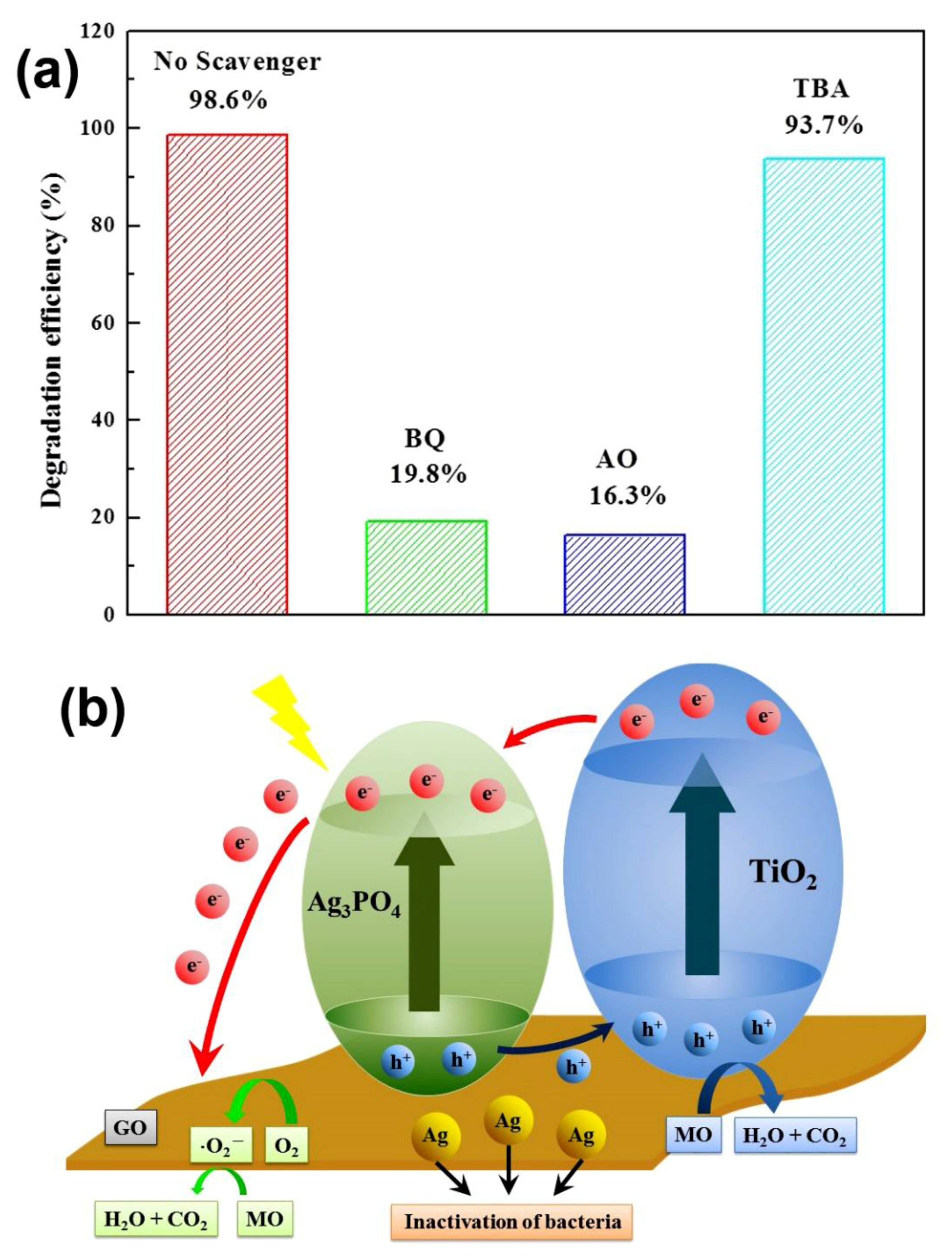 Catalysts 08 00057 g010