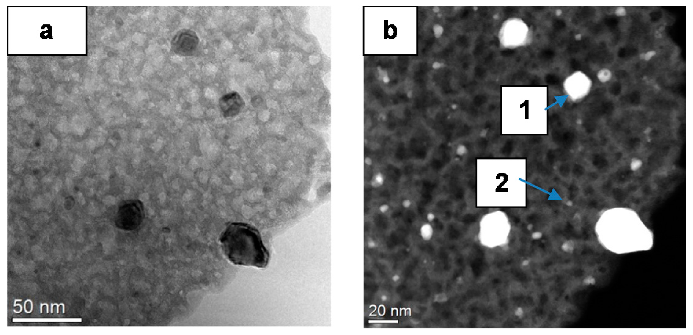 Catalysts 08 00066 g001