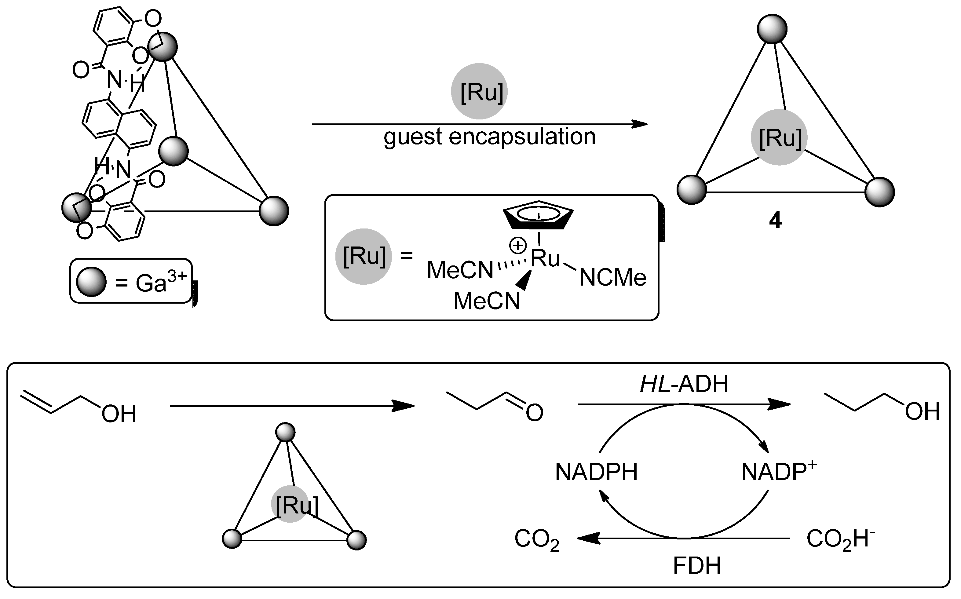 Catalysts 08 00075 sch003 Catalysts 08 00075 sch003