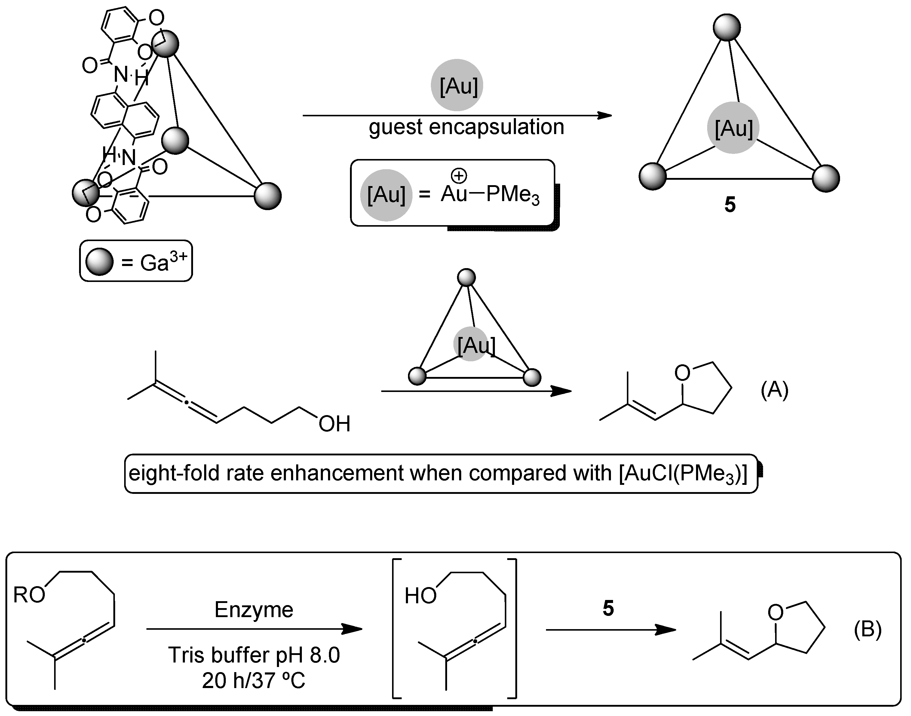 Catalysts 08 00075 sch004 Catalysts 08 00075 sch004