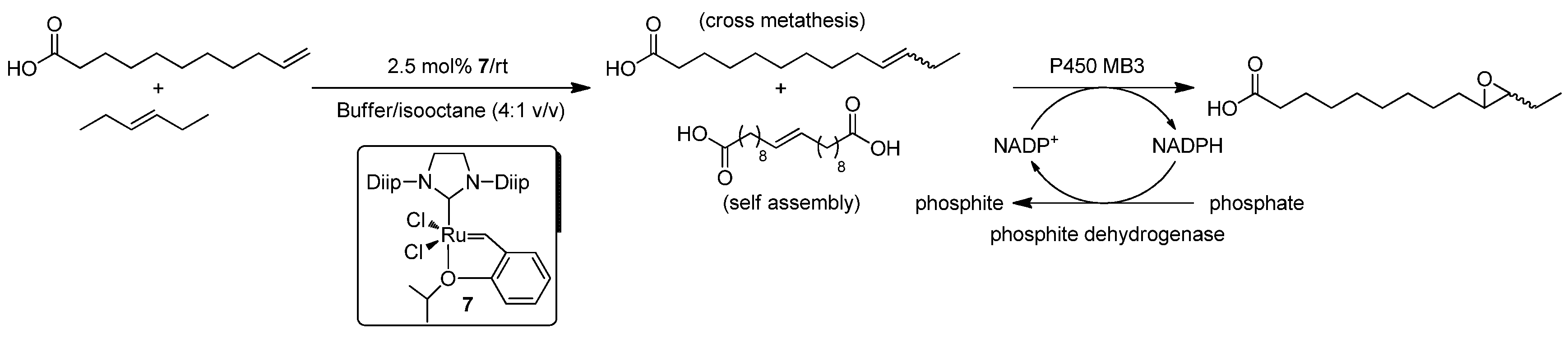 Catalysts 08 00075 sch015 Catalysts 08 00075 sch015