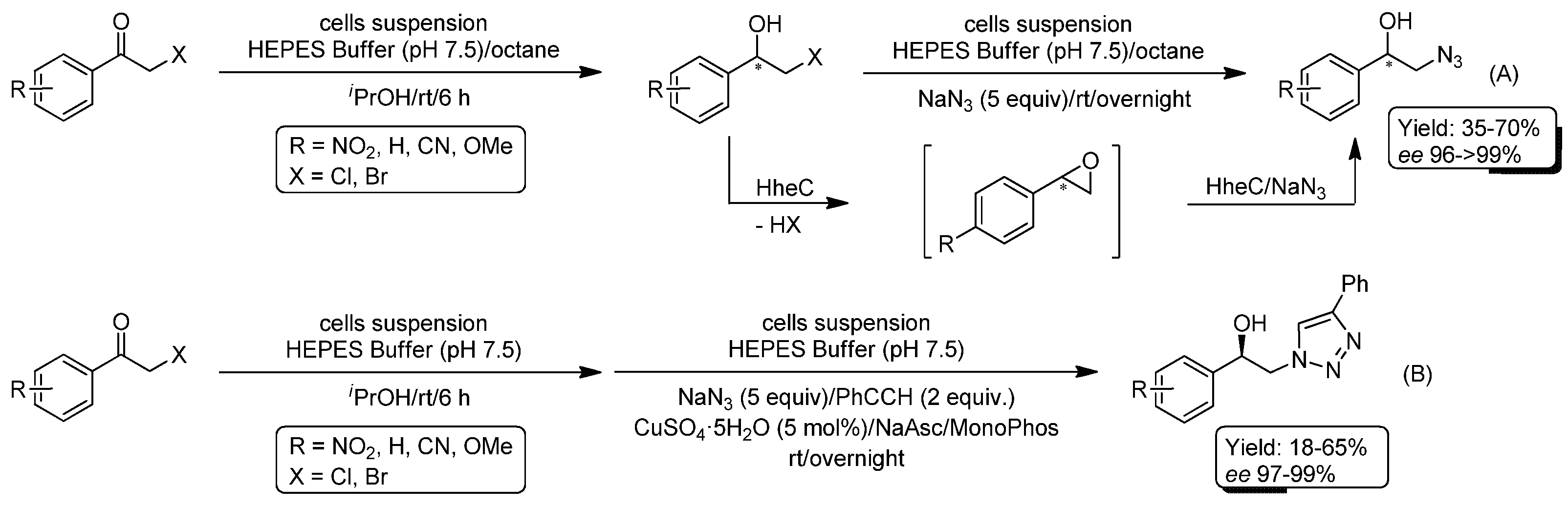 Catalysts 08 00075 sch018 Catalysts 08 00075 sch018