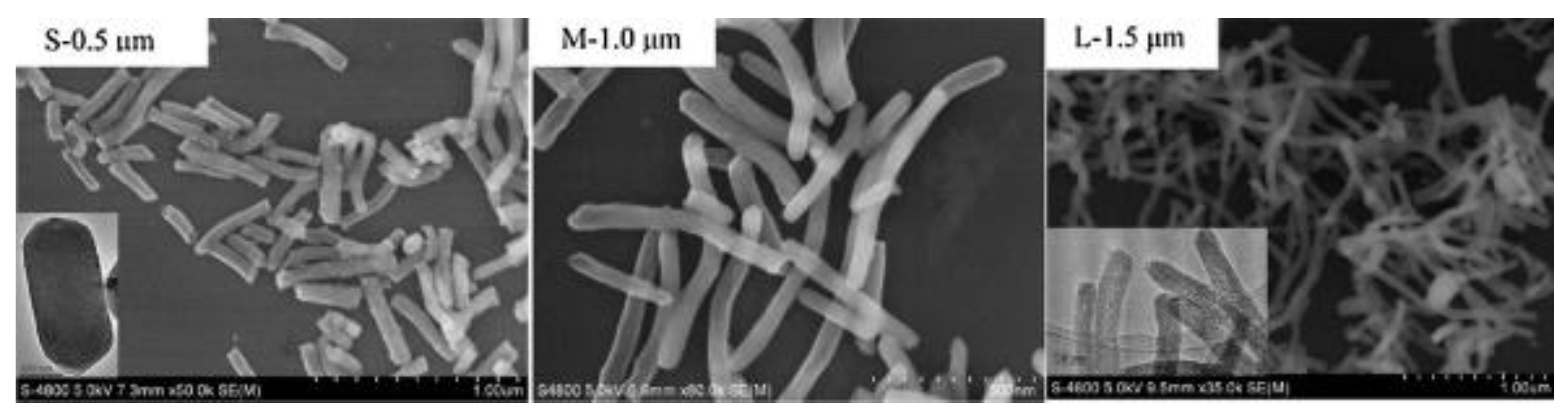 Catalysts 08 00080 g011