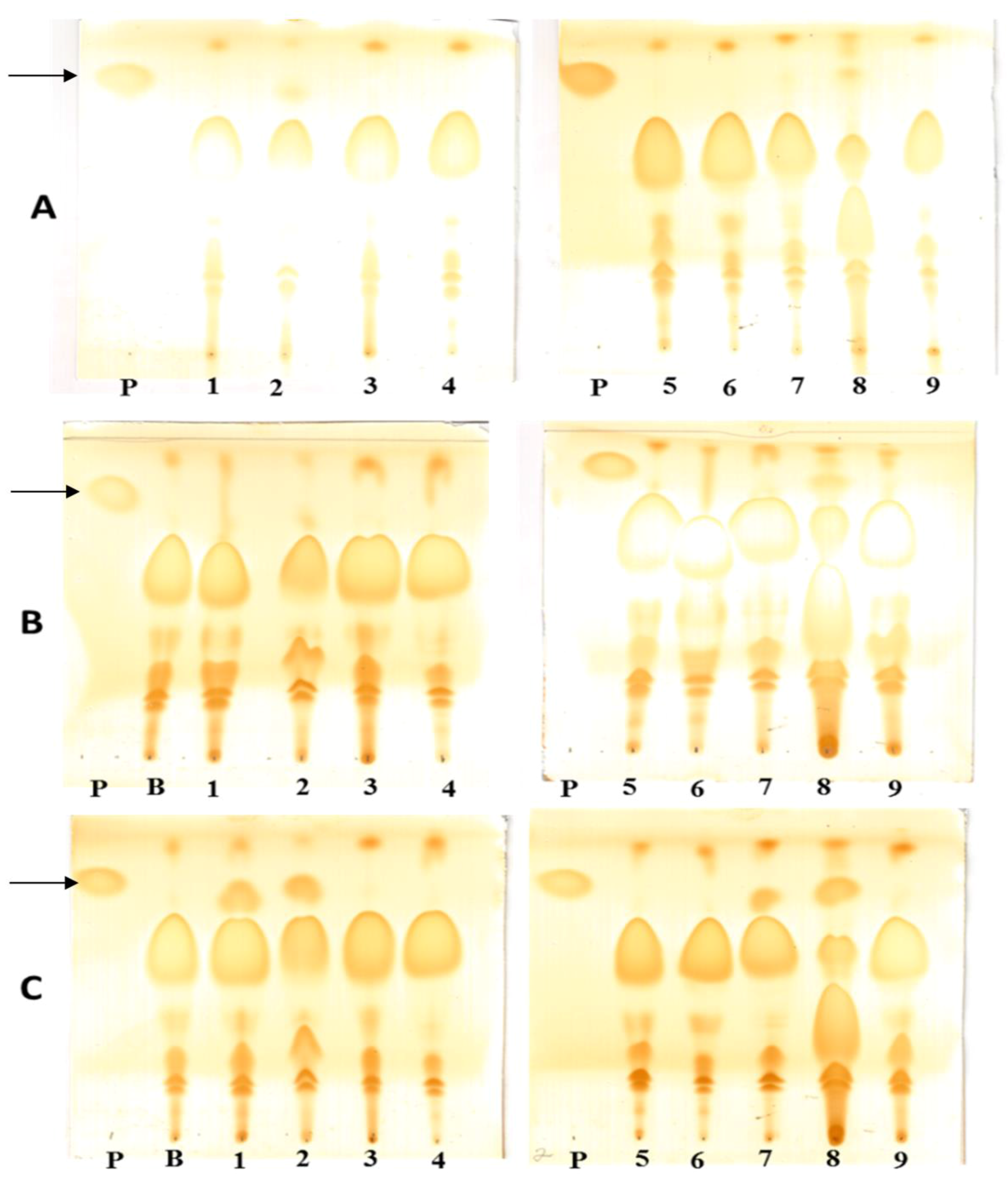 Catalysts 08 00084 g007