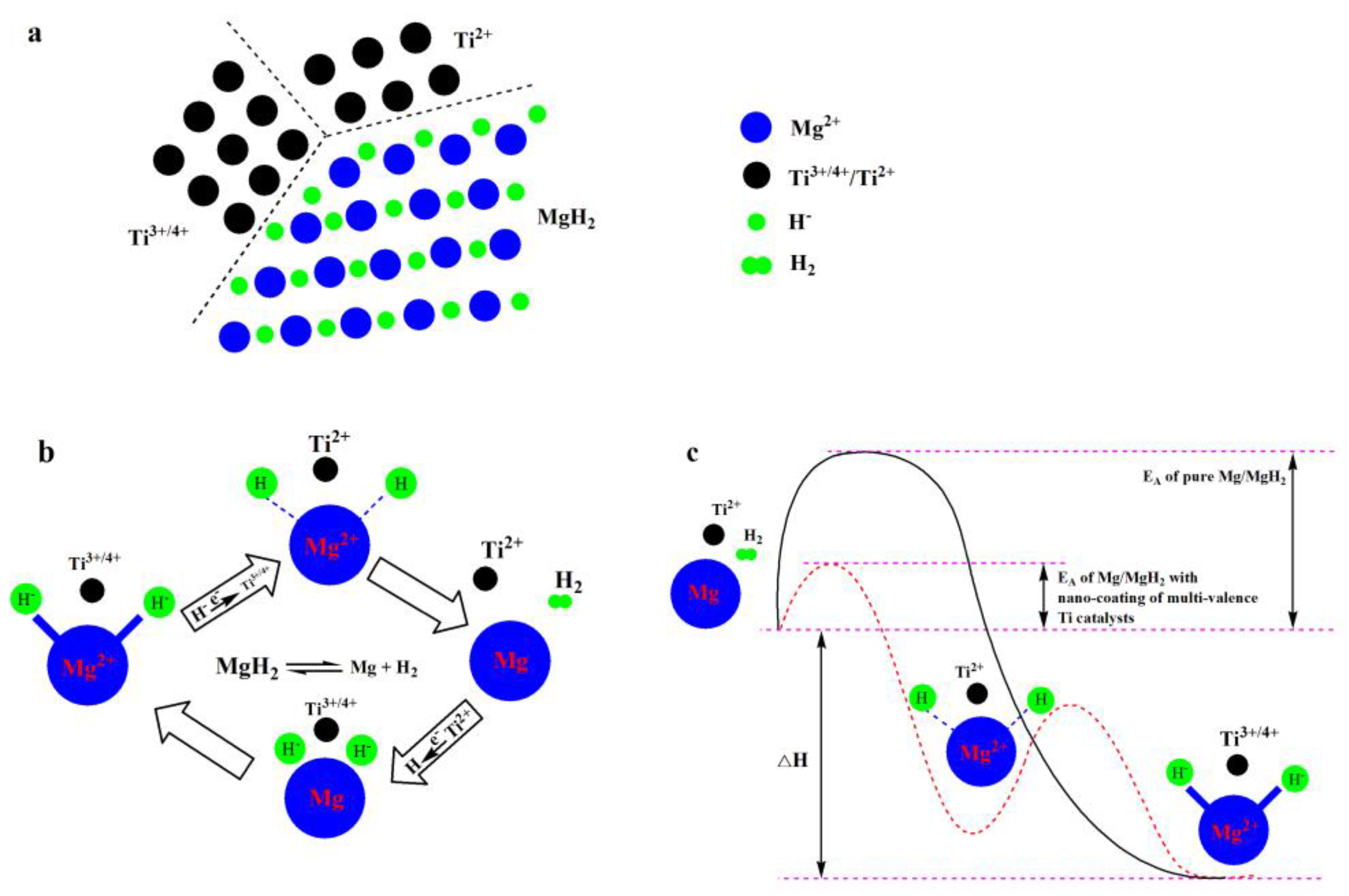Catalysts Free FullText Catalysis and Downsizing in MgBased