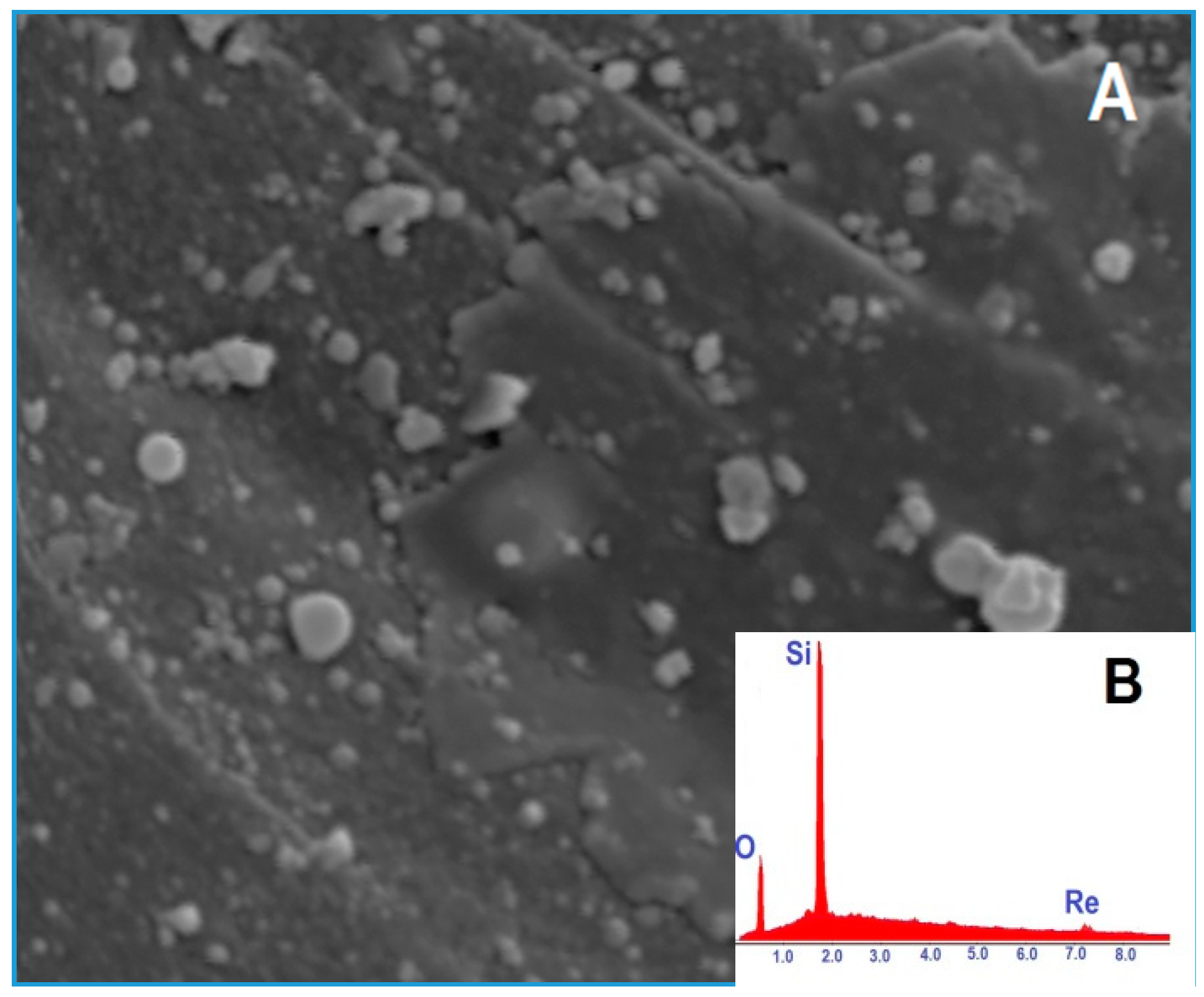 Catalysts 08 00114 g001 Catalysts 08 00114 g001