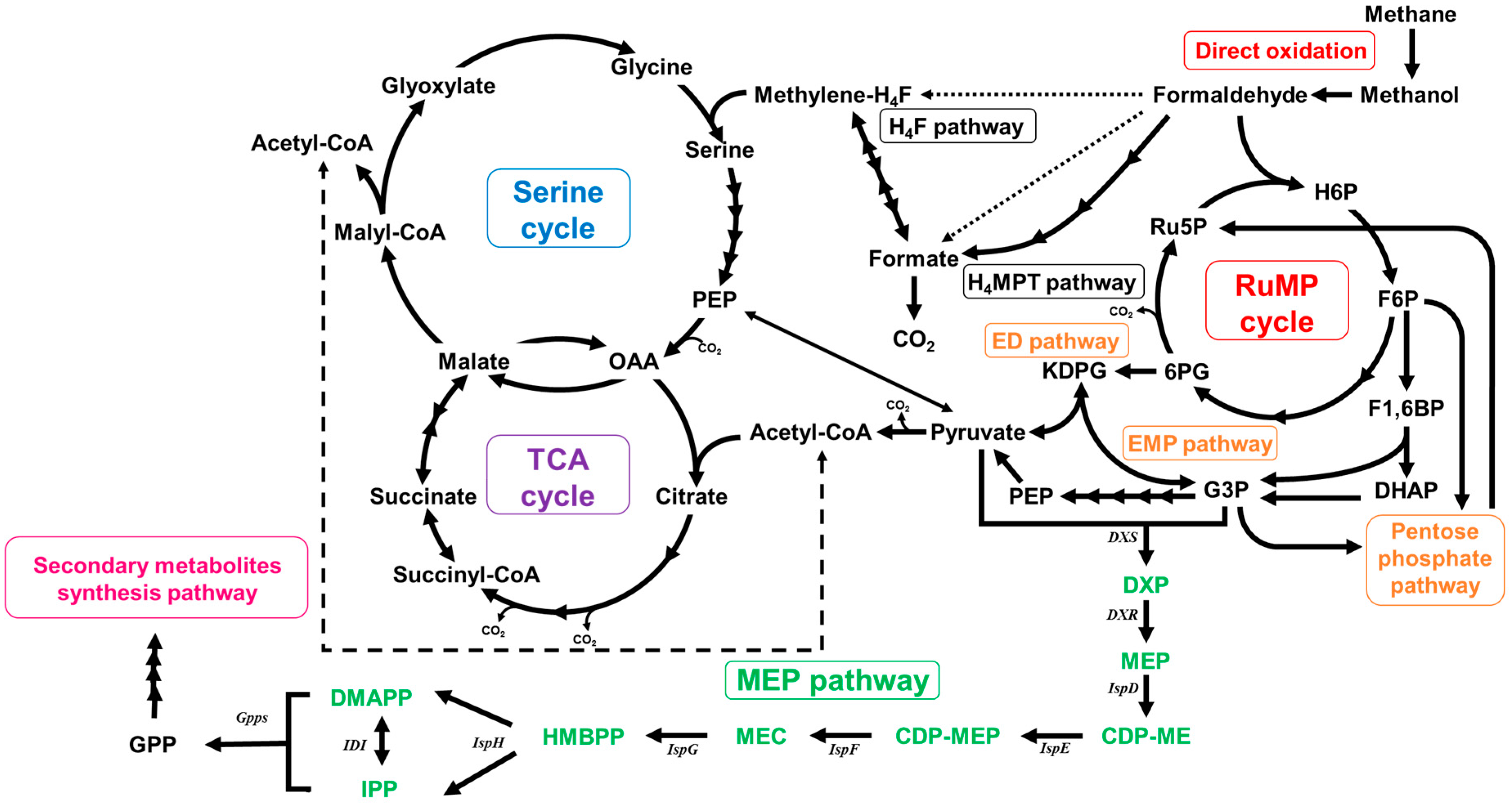 Catalysts 08 00117 g004