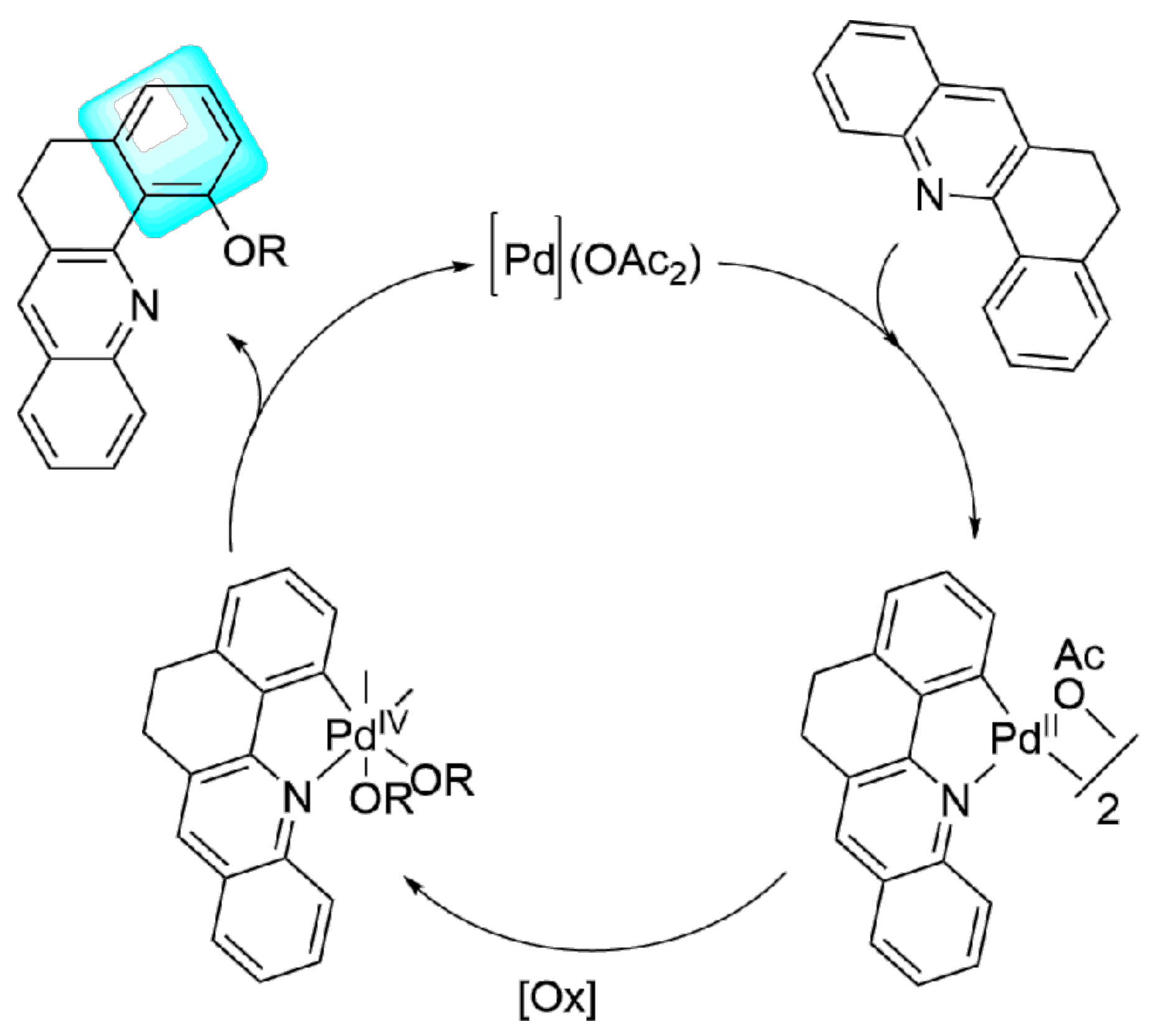 Catalysts 08 00139 g004