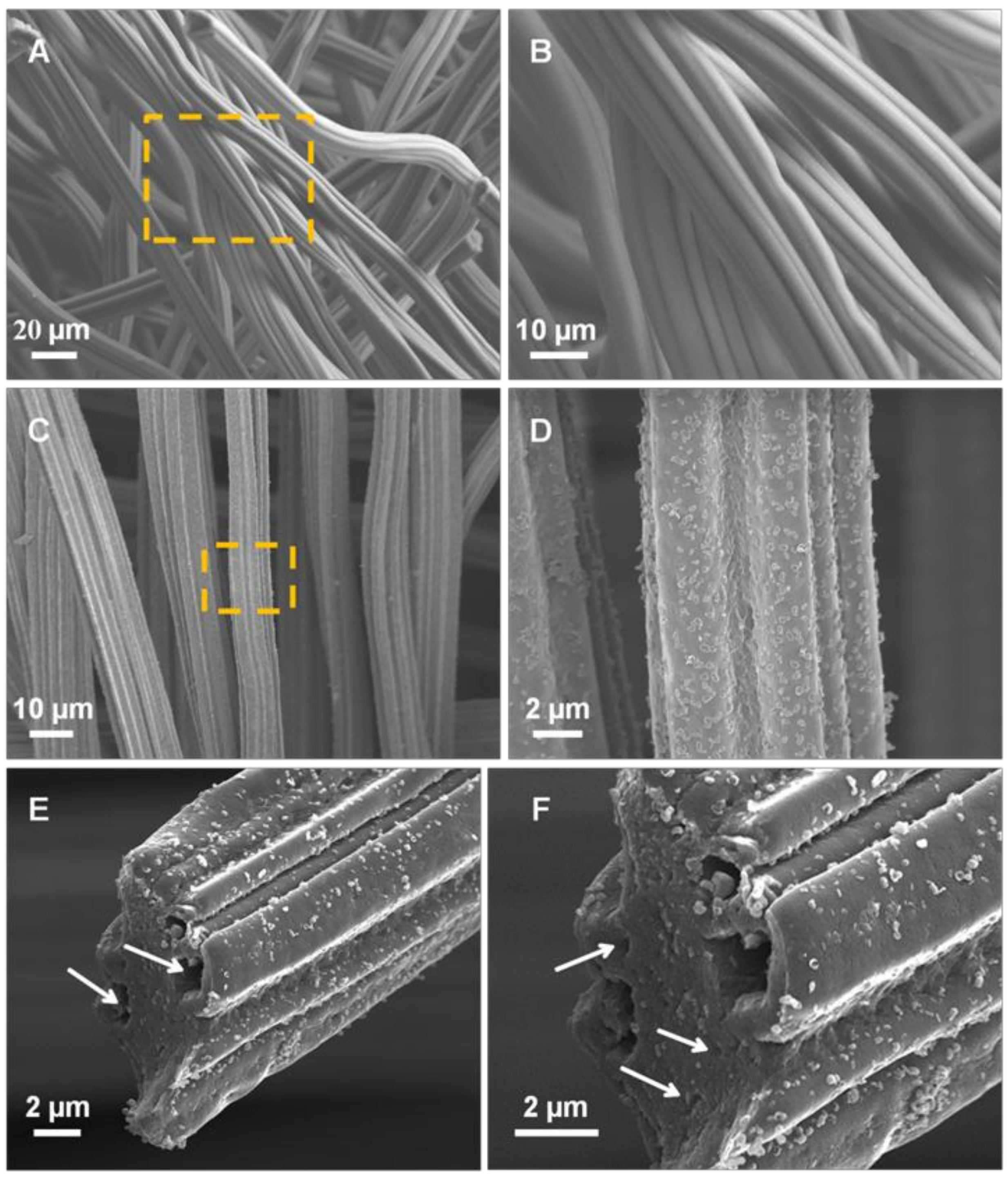 Catalysts 08 00145 g001 550