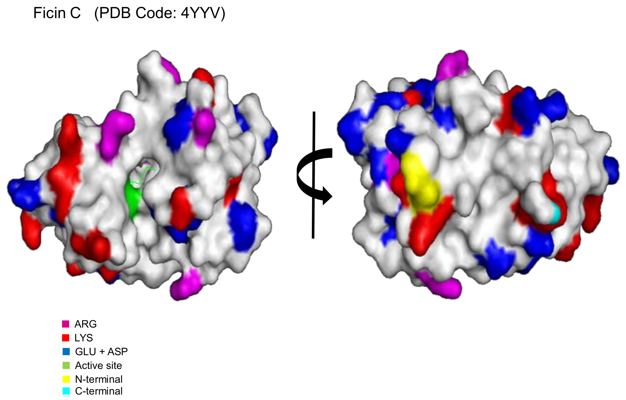 Catalysts 08 00149 g004