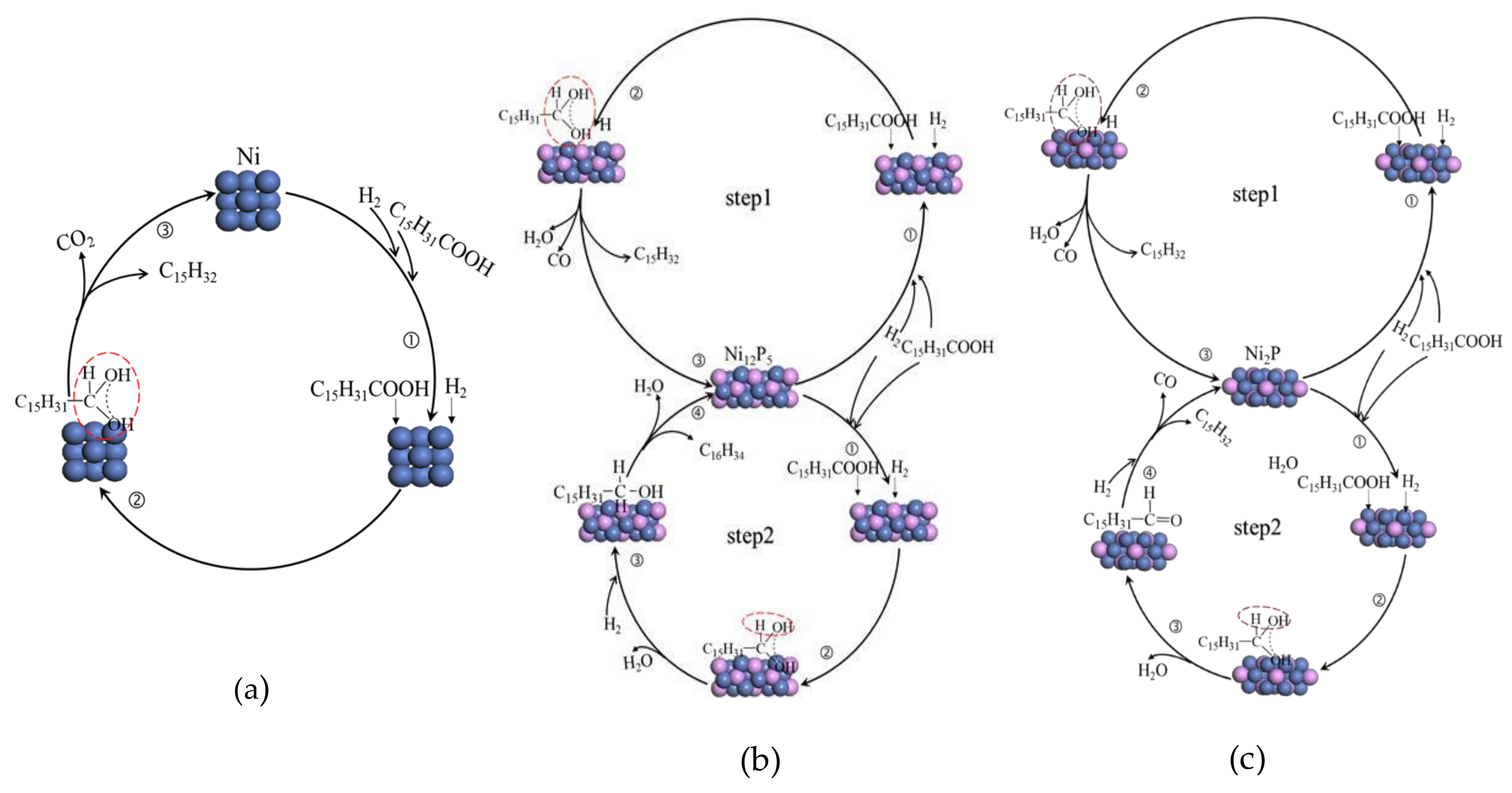 Catalysts 08 00153 sch002