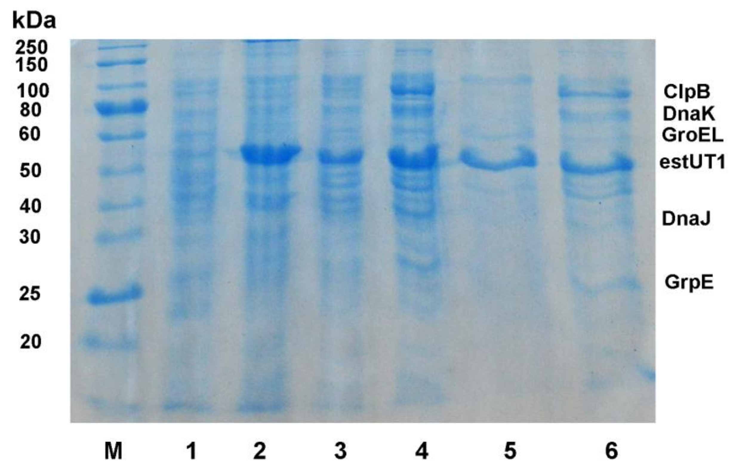 Catalysts 08 00154 g001