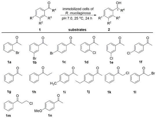 Catalysts 08 00165 i001