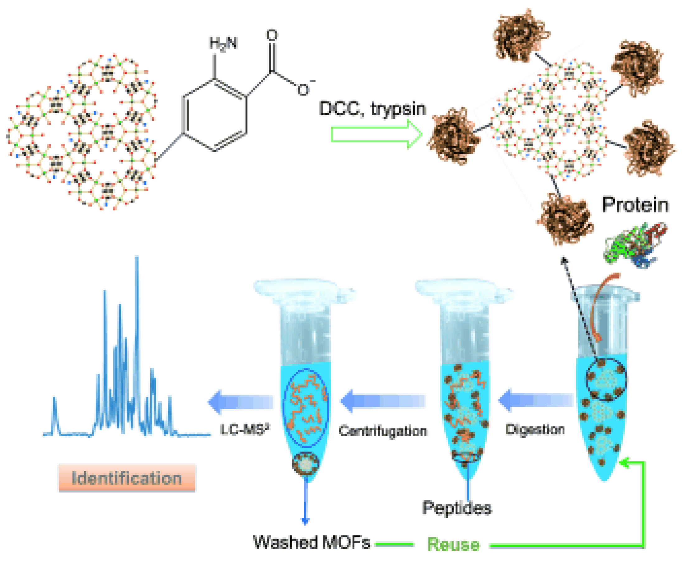Catalysts Free FullText Applications of Immobilized BioCatalyst