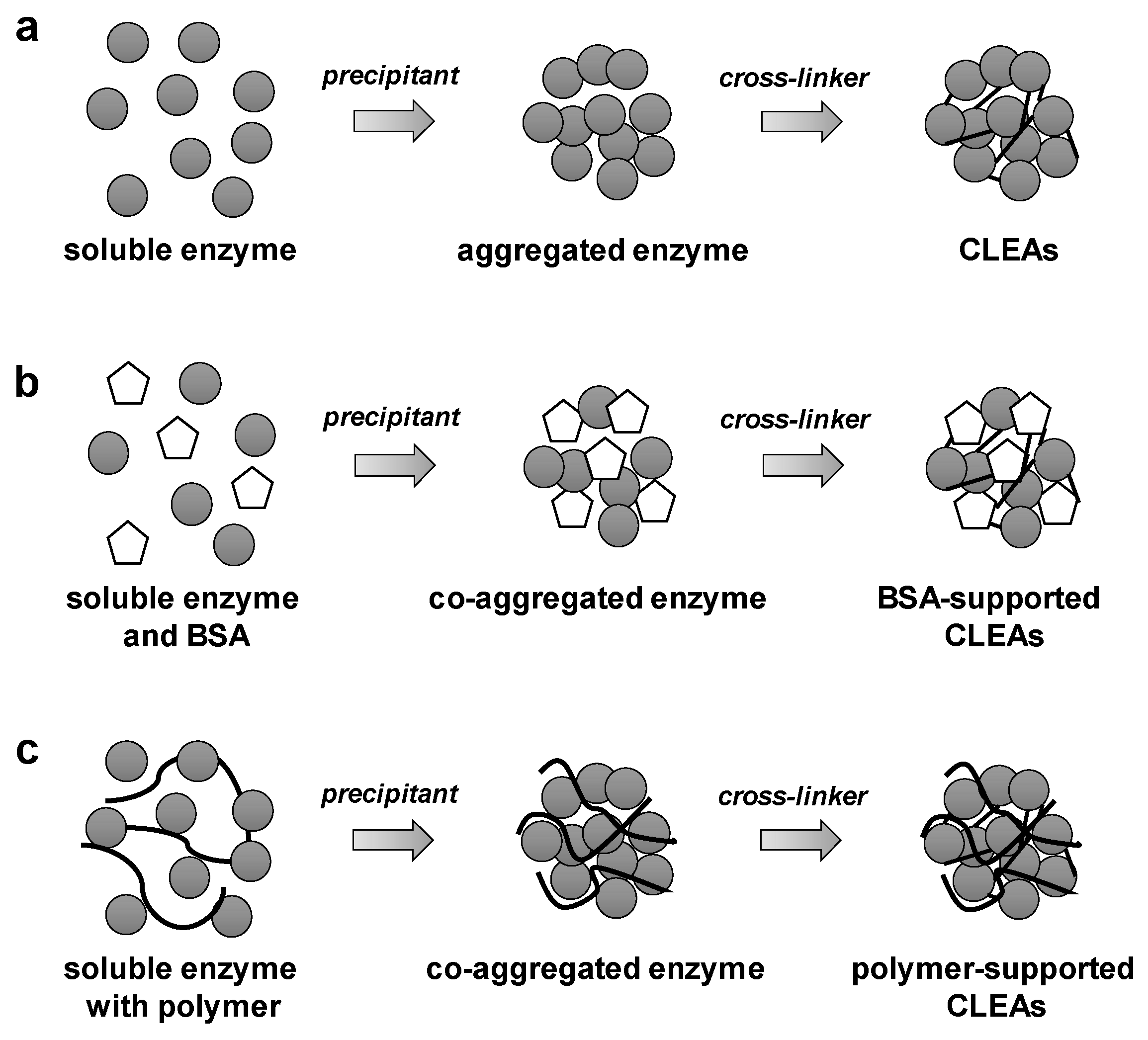 Catalysts 08 00174 g001