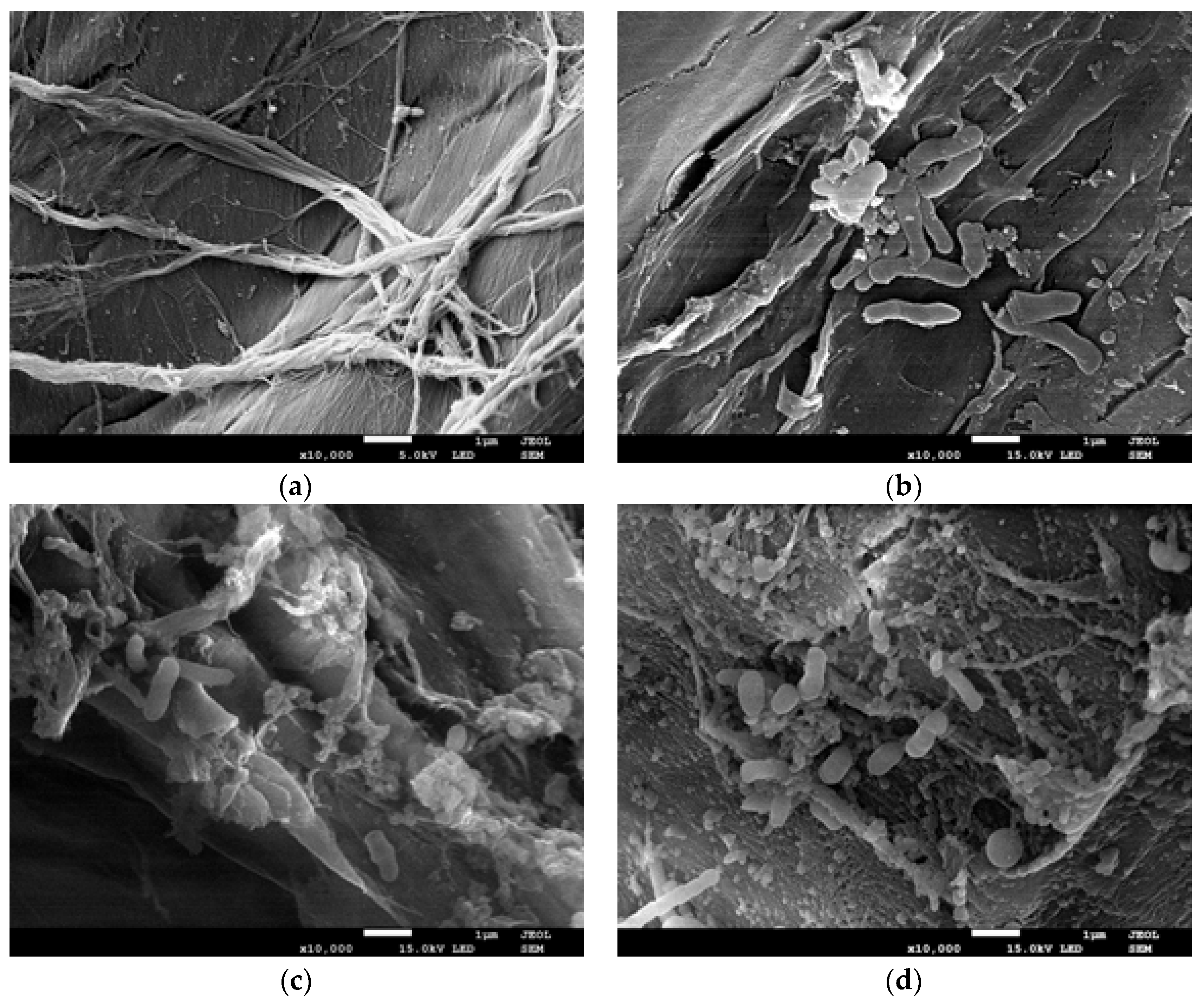 Catalysts 08 00176 g006