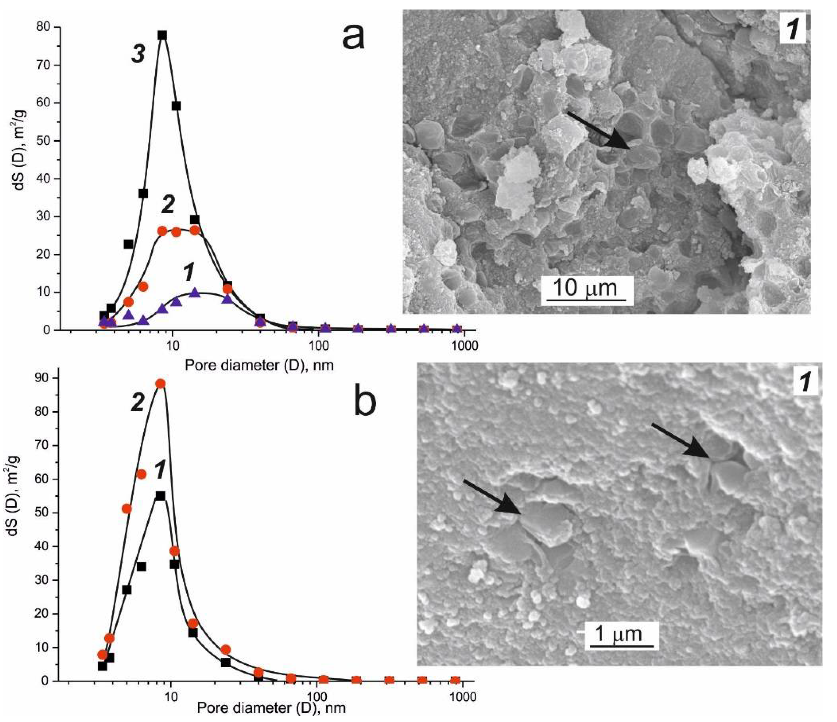 Catalysts 08 00177 g001