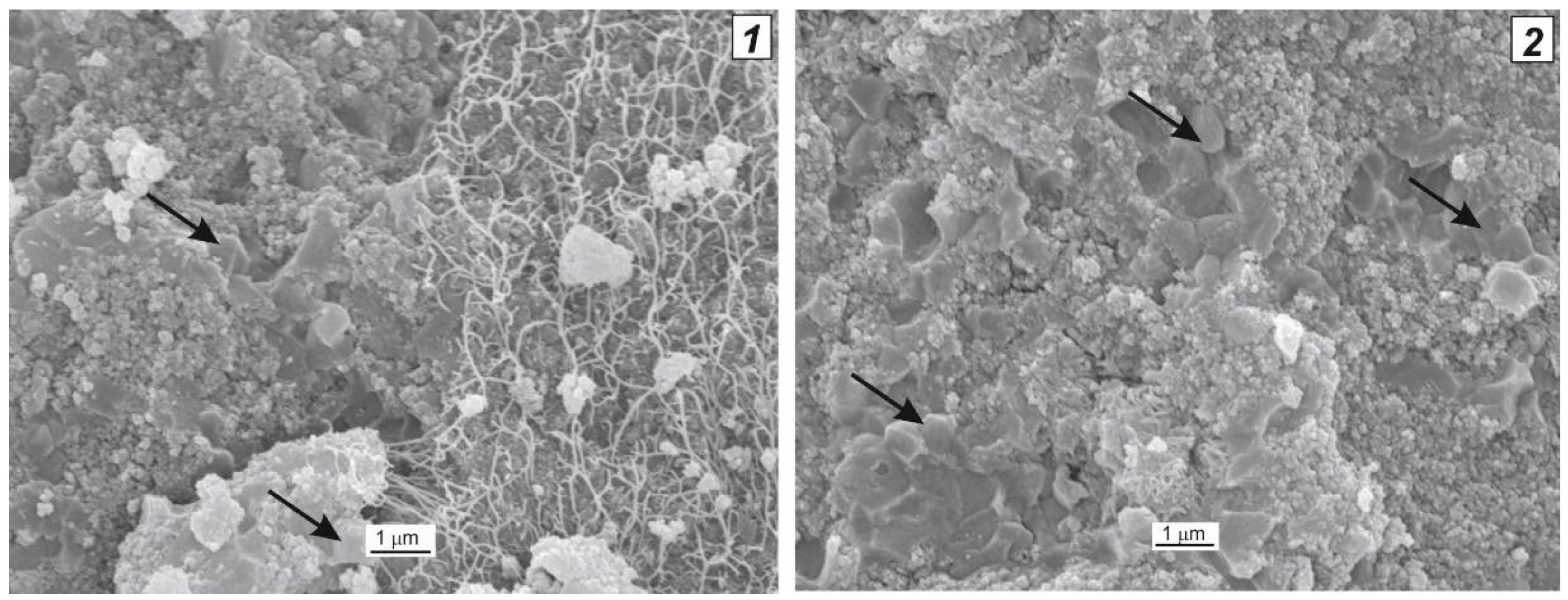 Catalysts 08 00177 g004