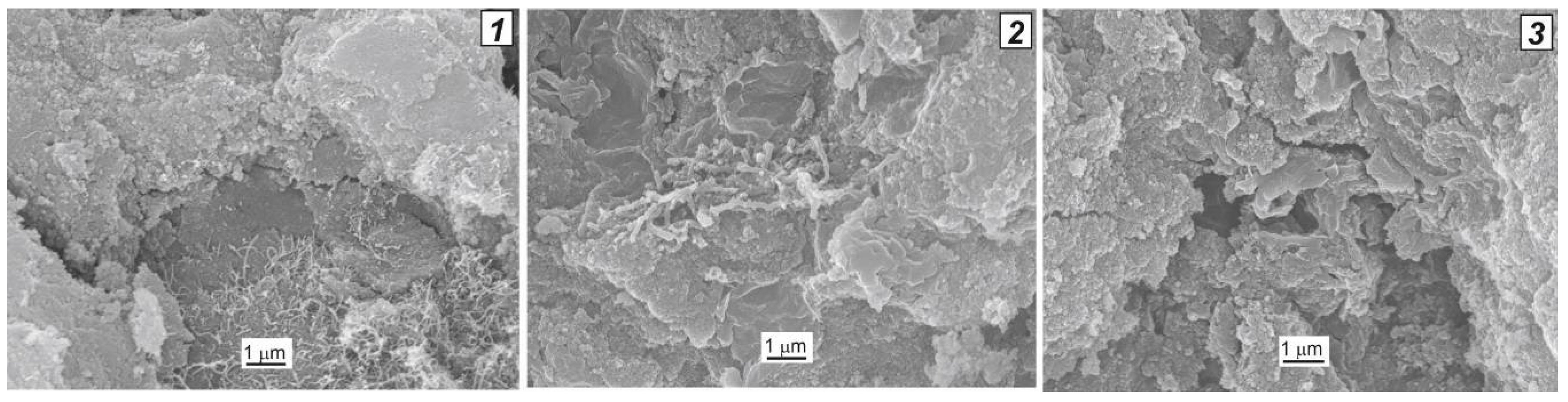 Catalysts 08 00177 g005