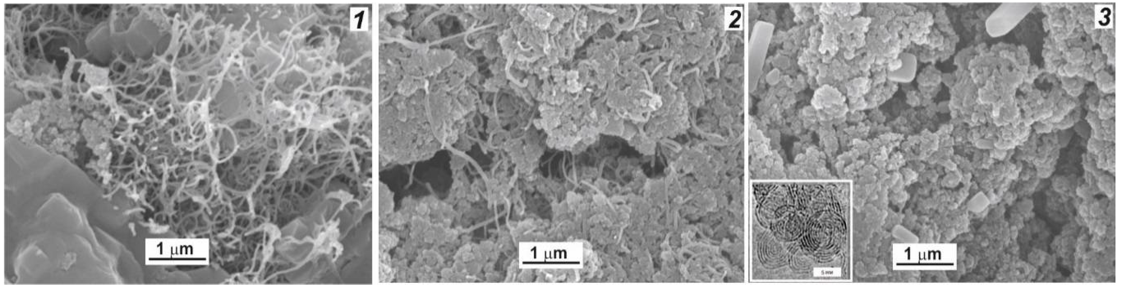 Catalysts 08 00177 g007