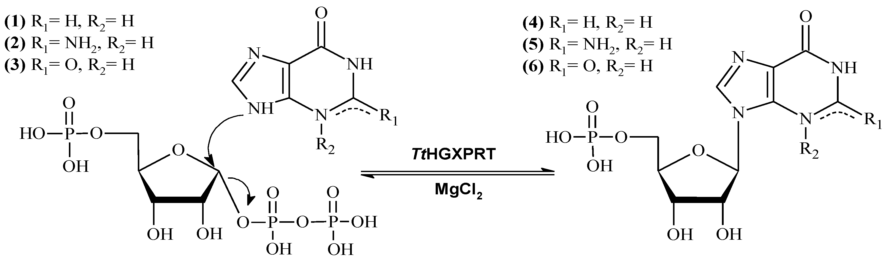 Catalysts 08 00184 g001
