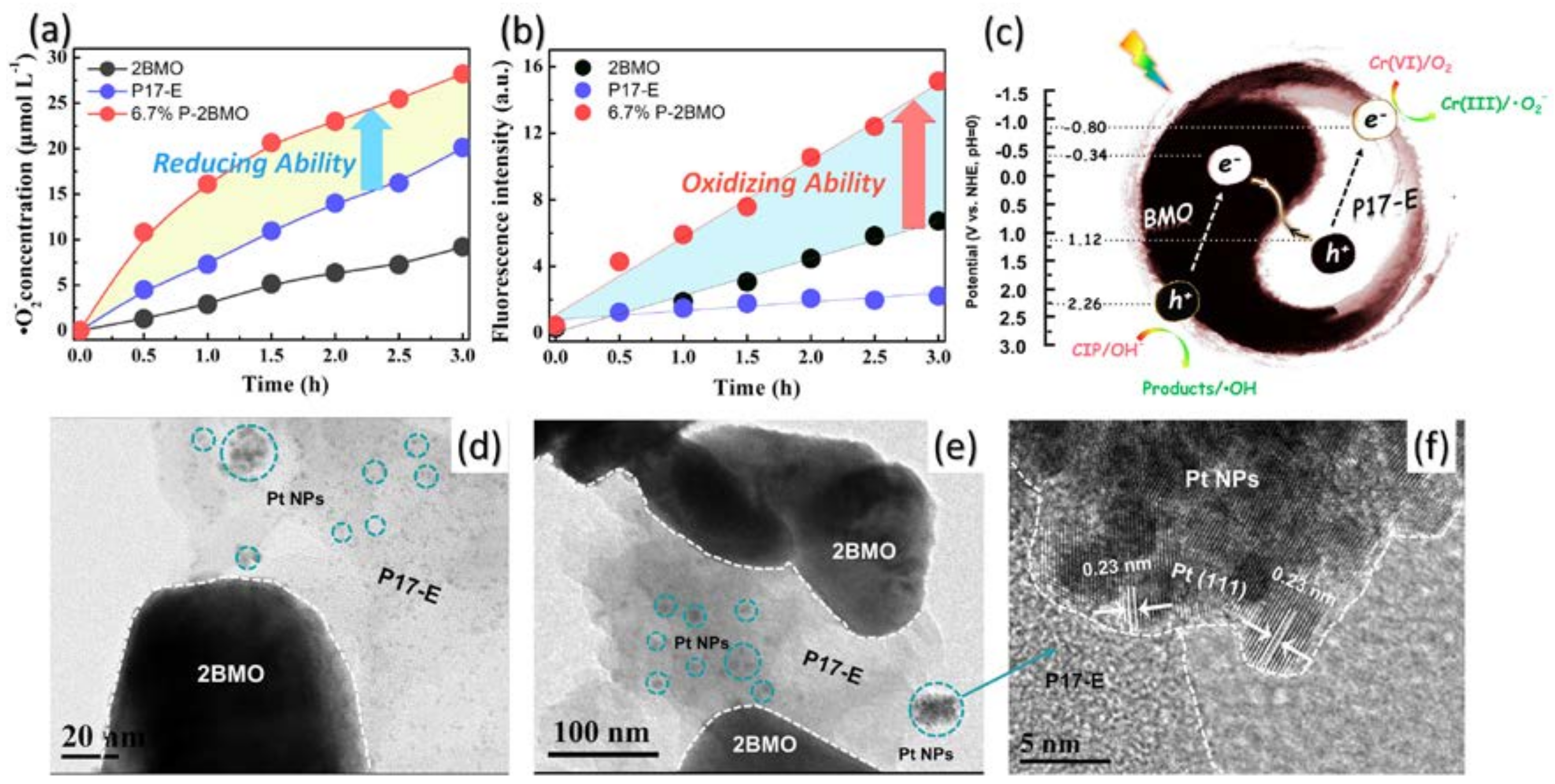 Catalysts 08 00185 g008