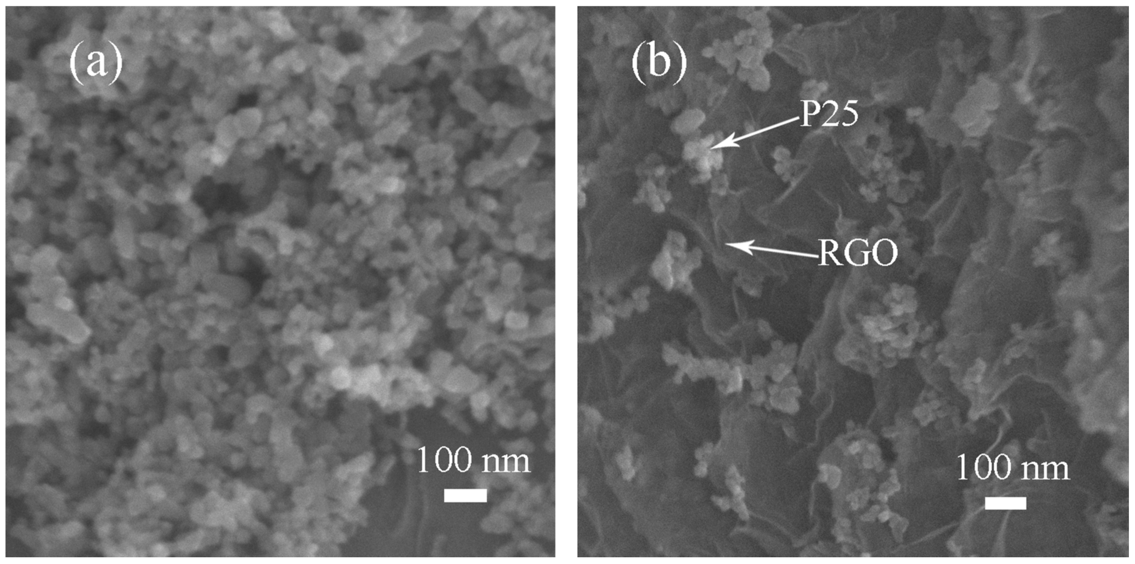 Catalysts 08 00189 g004