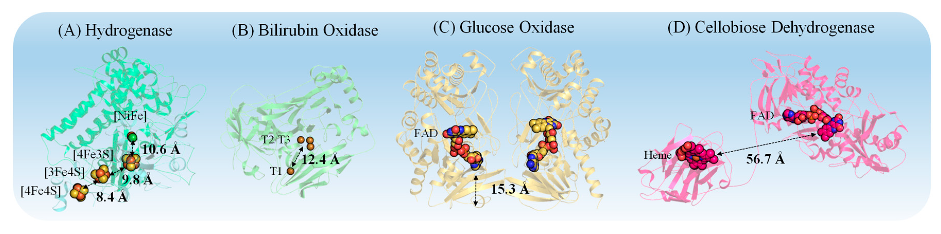 Catalysts Free Full Text Controlling Redox Enzyme Orientation At Planar Electrodes Html