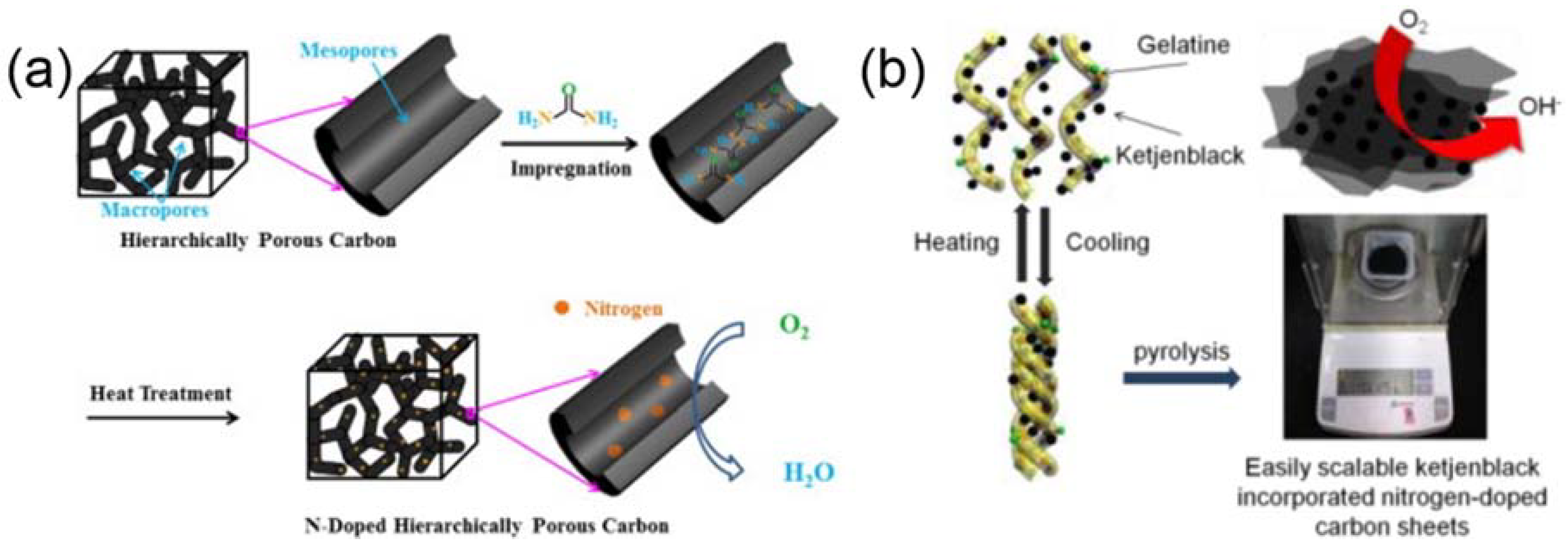 Catalysts 08 00196 g001