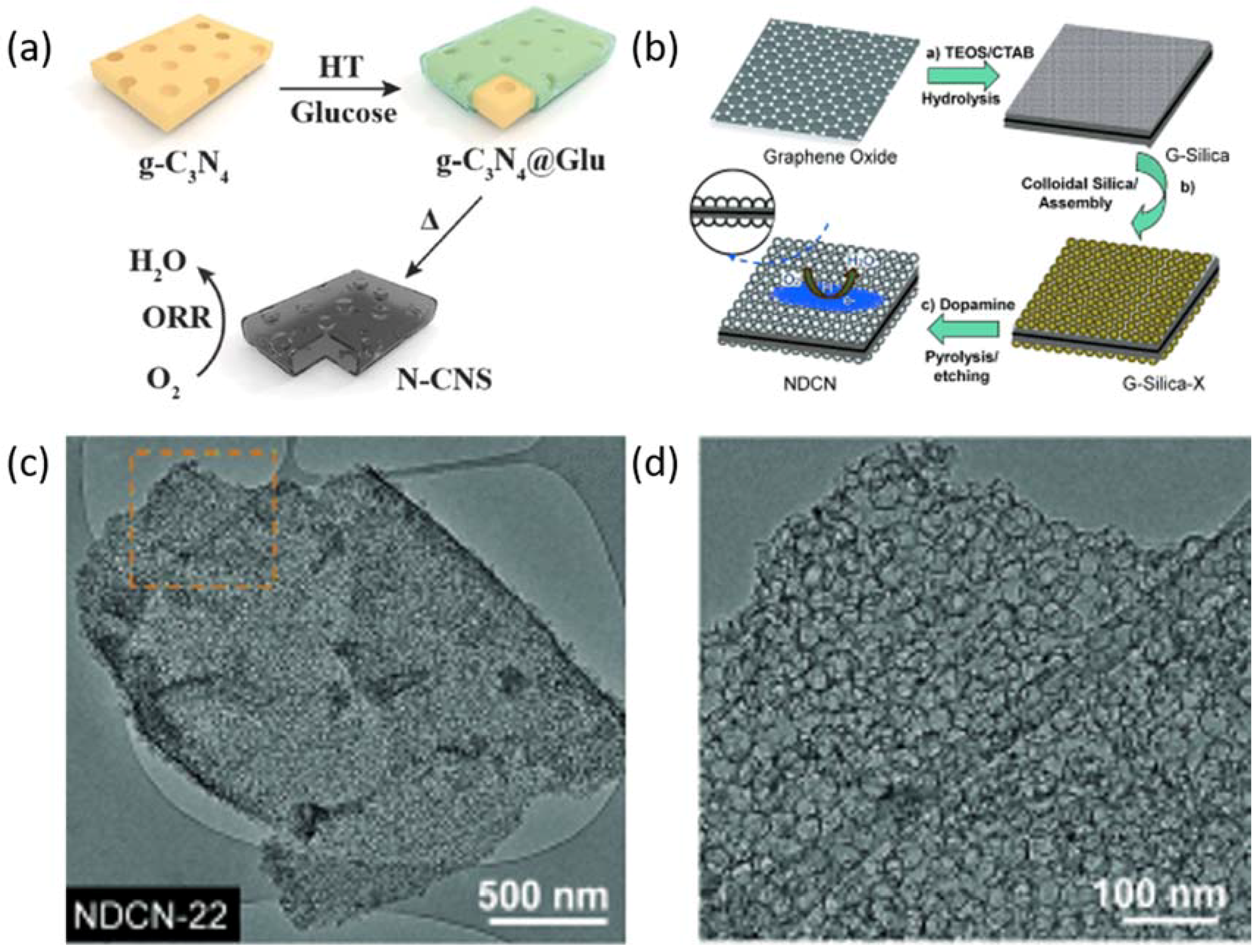 Catalysts 08 00196 g005