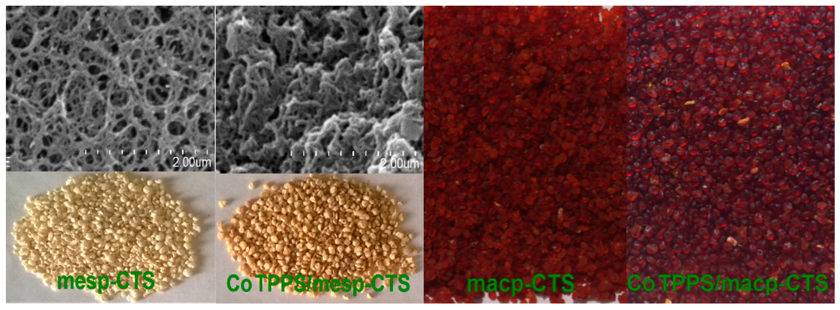 Catalysts 08 00199 g001
